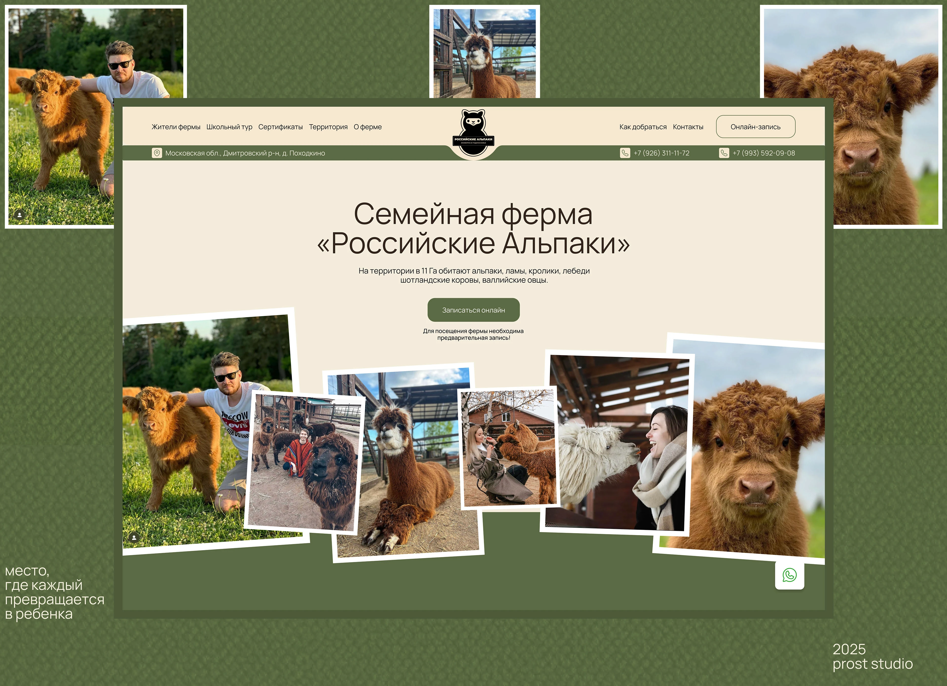 Сайт для фермы «Российские Альпаки» — Изображение №1 — Интерфейсы на Dprofile