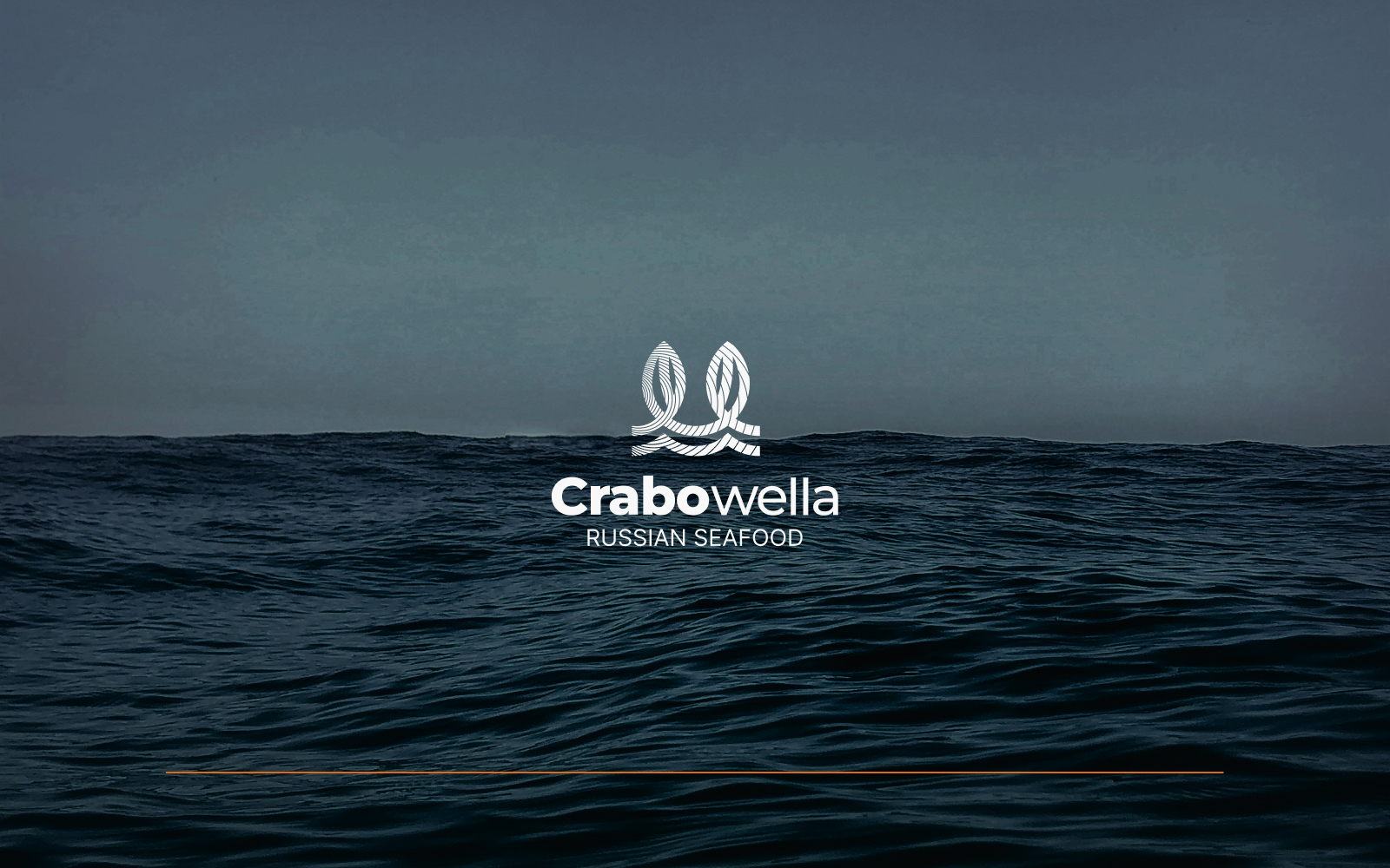 Логотип и фирменный стиль для компании Crabowella — Изображение №13 — Брендинг на Dprofile