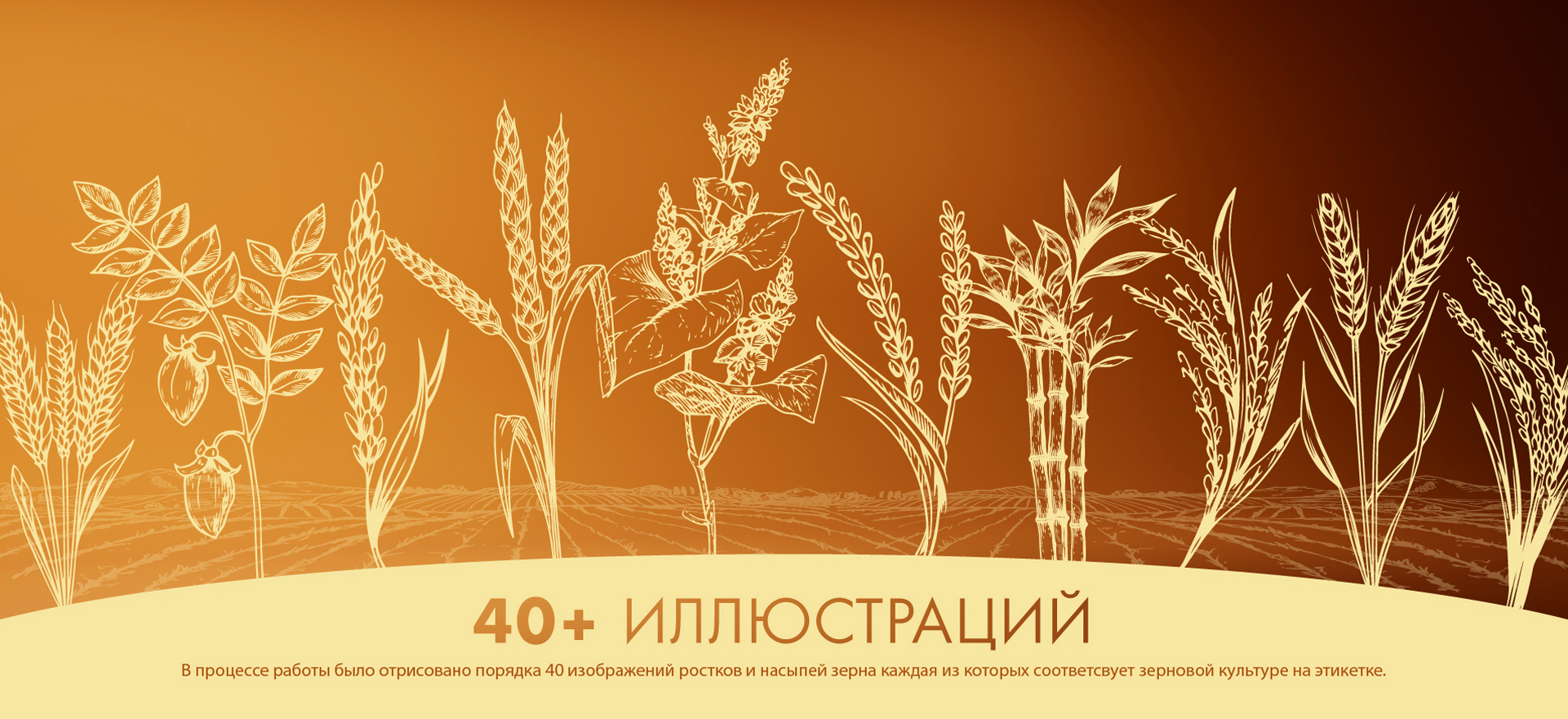 Этикетки круп TM BOCADO — Изображение №8 — Брендинг, Графика на Dprofile