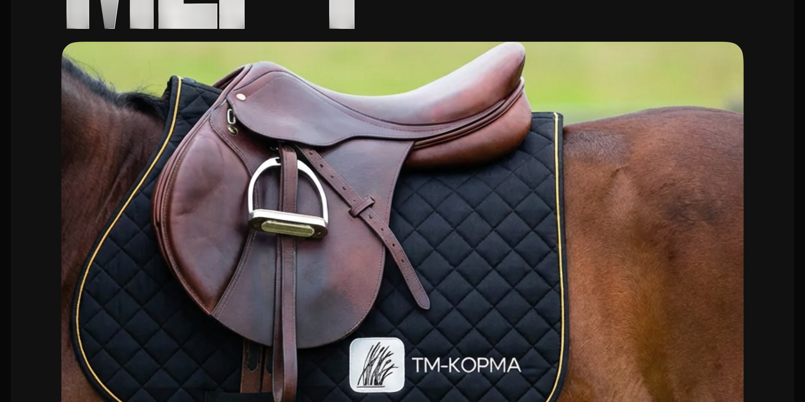 🐎 Редизайн бренда конных кормов · ТМ-Корма — Изображение №21 — Интерфейсы, Маркетинг на Dprofile