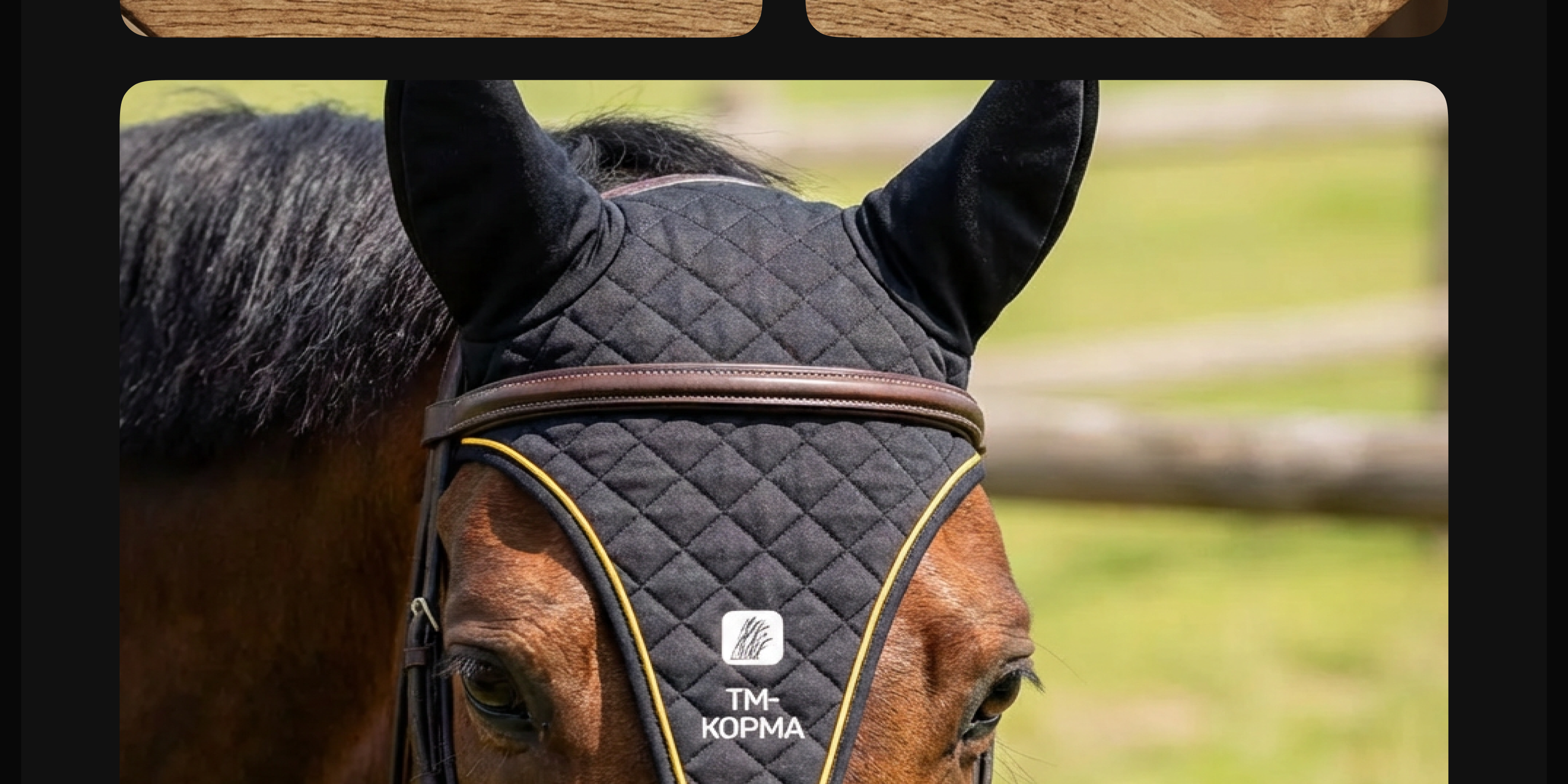 🐎 Редизайн бренда конных кормов · ТМ-Корма — Изображение №23 — Интерфейсы, Маркетинг на Dprofile