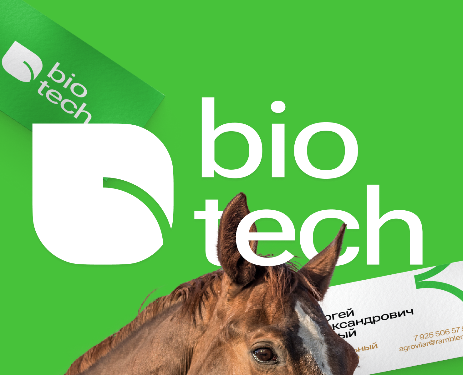 Биотех — производитель премиального корма для лошадей — Интерфейсы, Брендинг на Dprofile