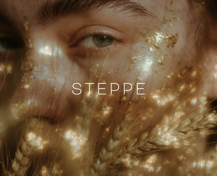 Степь | ai project — Анимация на Dprofile