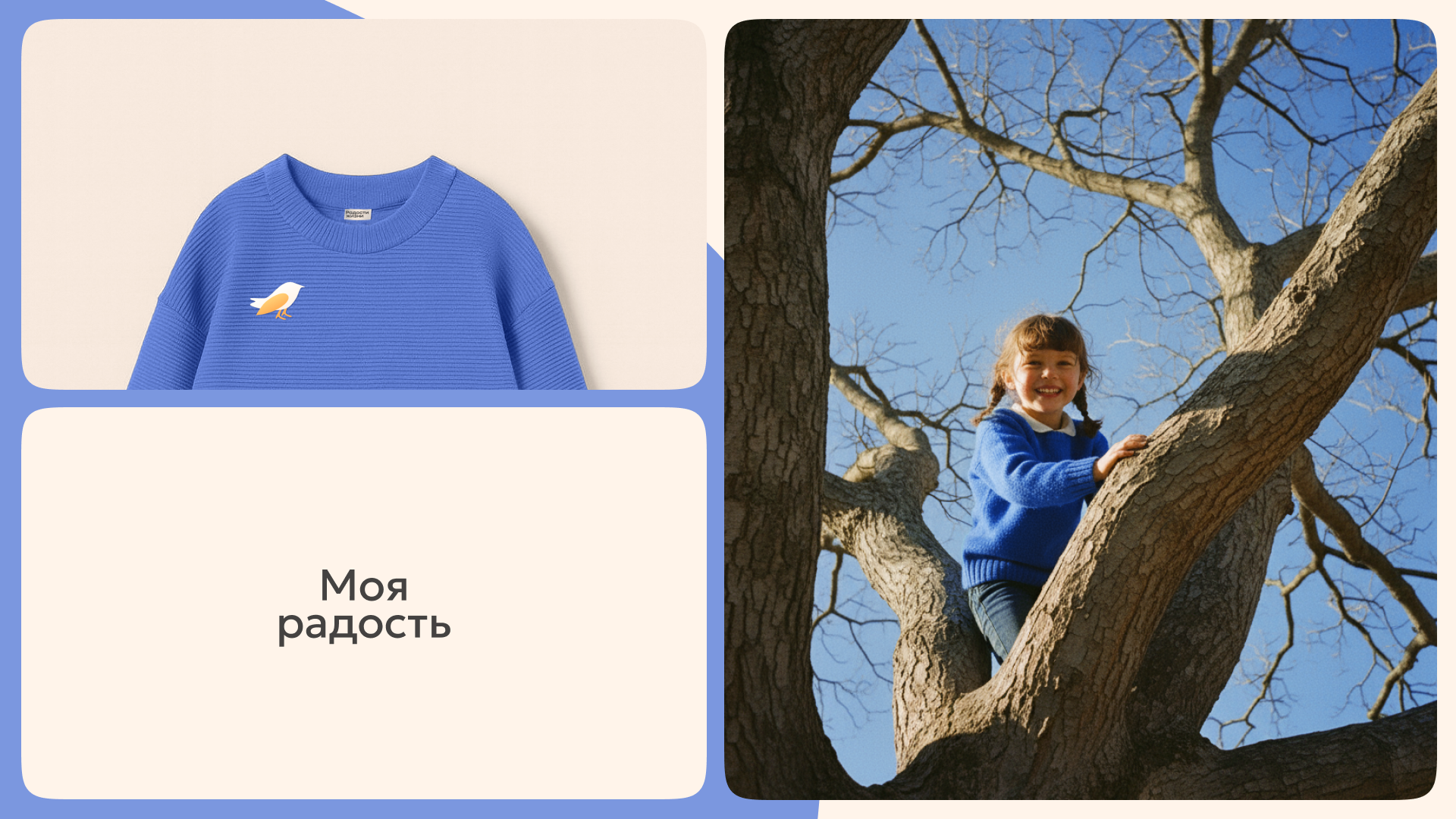 Радости жизни. ЖК — Изображение №3 — Брендинг, Анимация на Dprofile