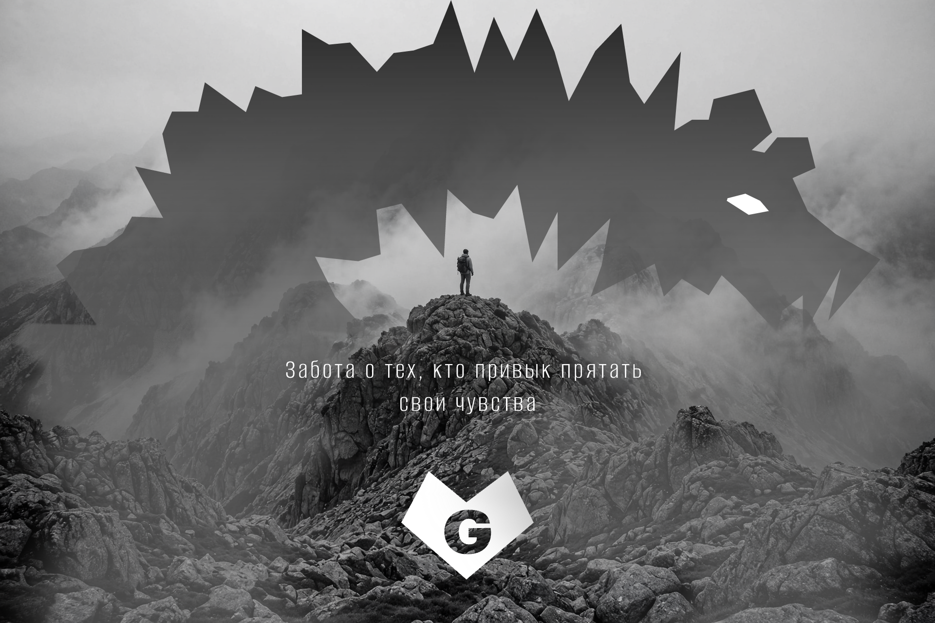 Логотип и упаковка — Grizzly Beard.Co — Изображение №1 — Брендинг на Dprofile