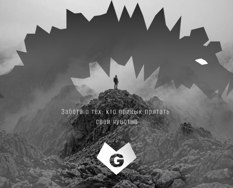 Логотип и упаковка — Grizzly Beard.Co на Dprofile