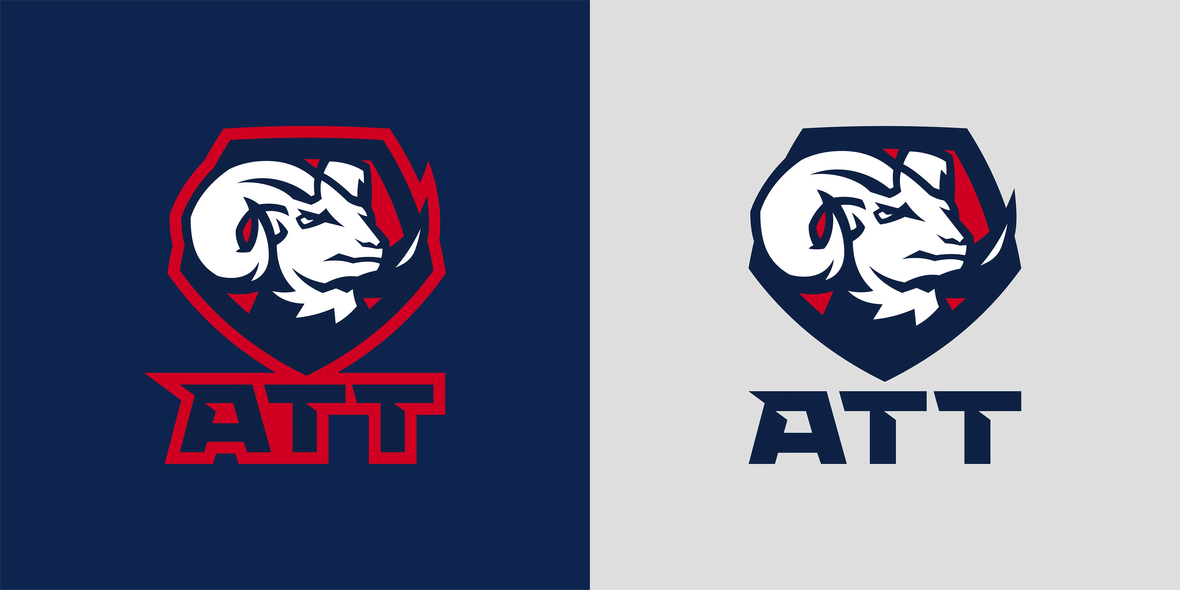 American Top Team — Изображение №7 — Брендинг, Иллюстрация на Dprofile