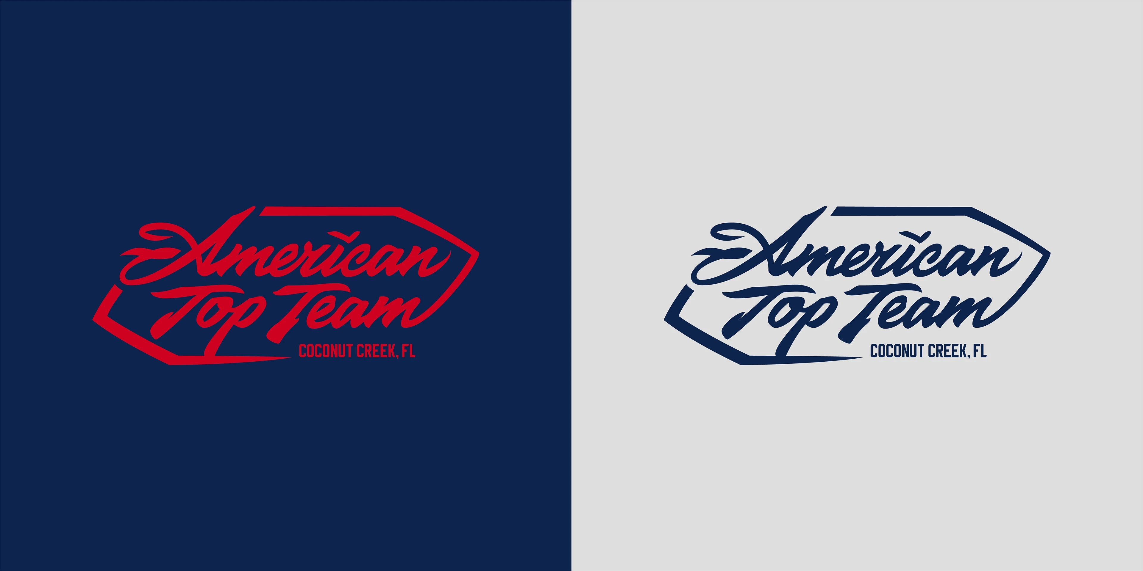 American Top Team — Изображение №5 — Брендинг, Иллюстрация на Dprofile