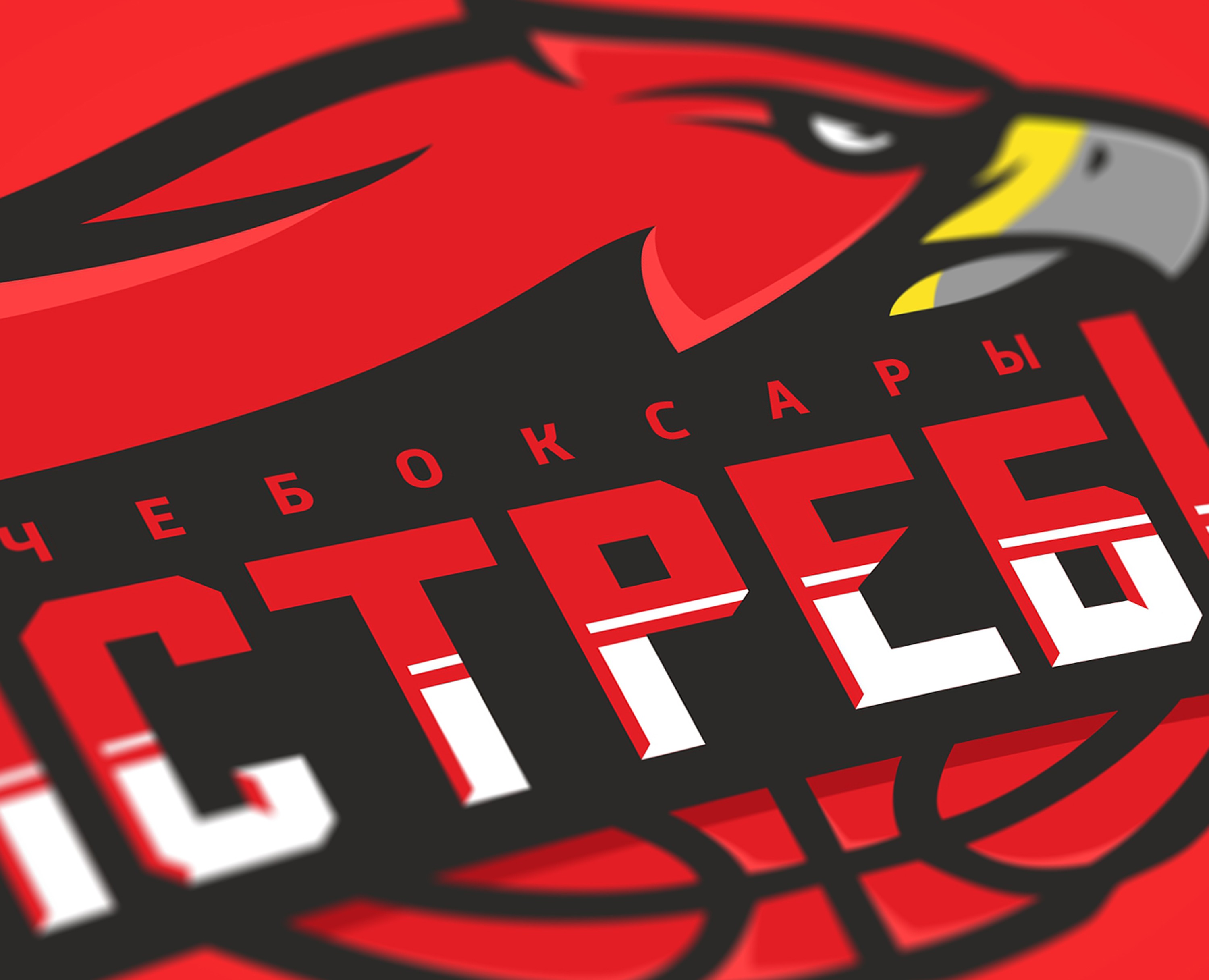 Чебоксарские ястребы — Брендинг на Dprofile