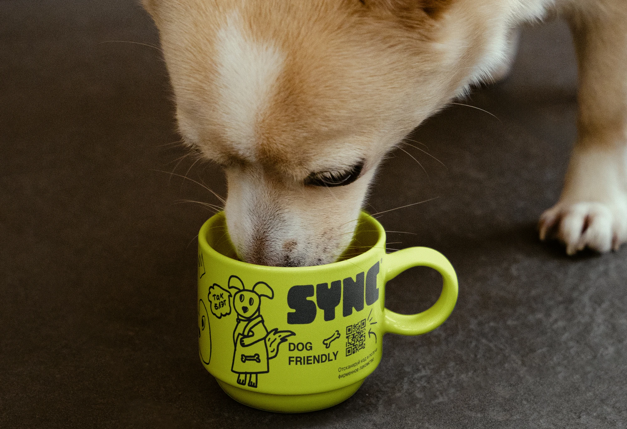 SYNC — Изображение №17 — Брендинг, Графика на Dprofile