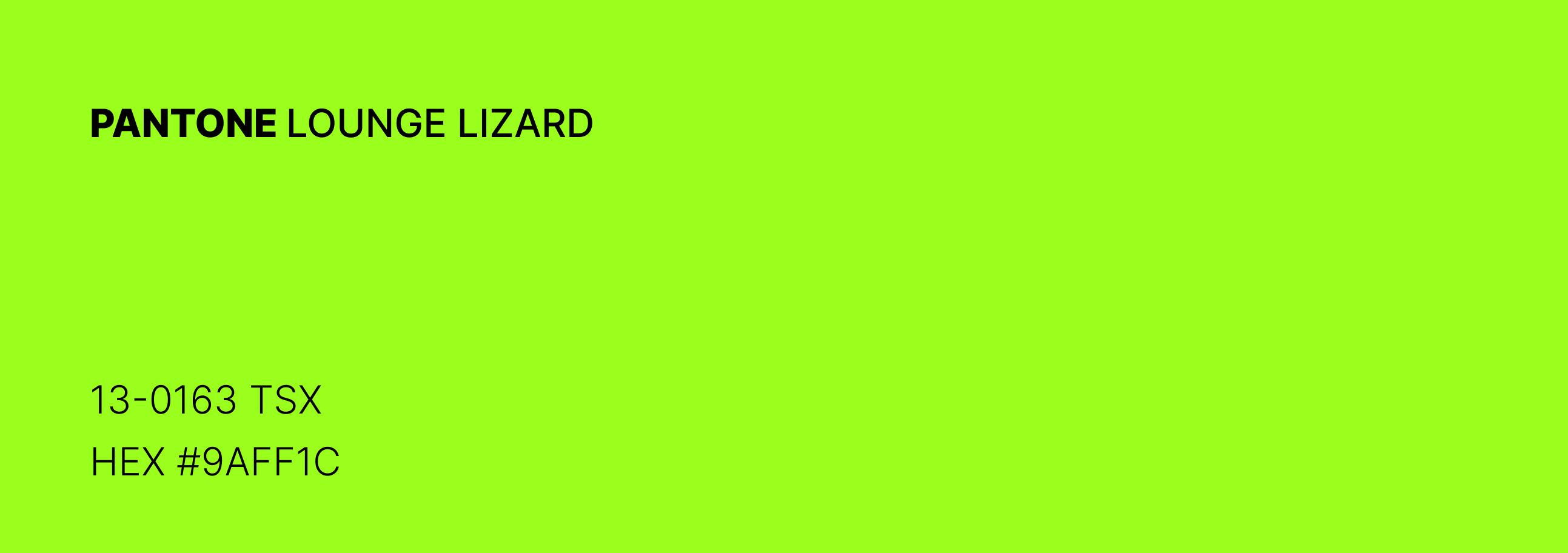 GO BIKE — Изображение №5 — Брендинг на Dprofile