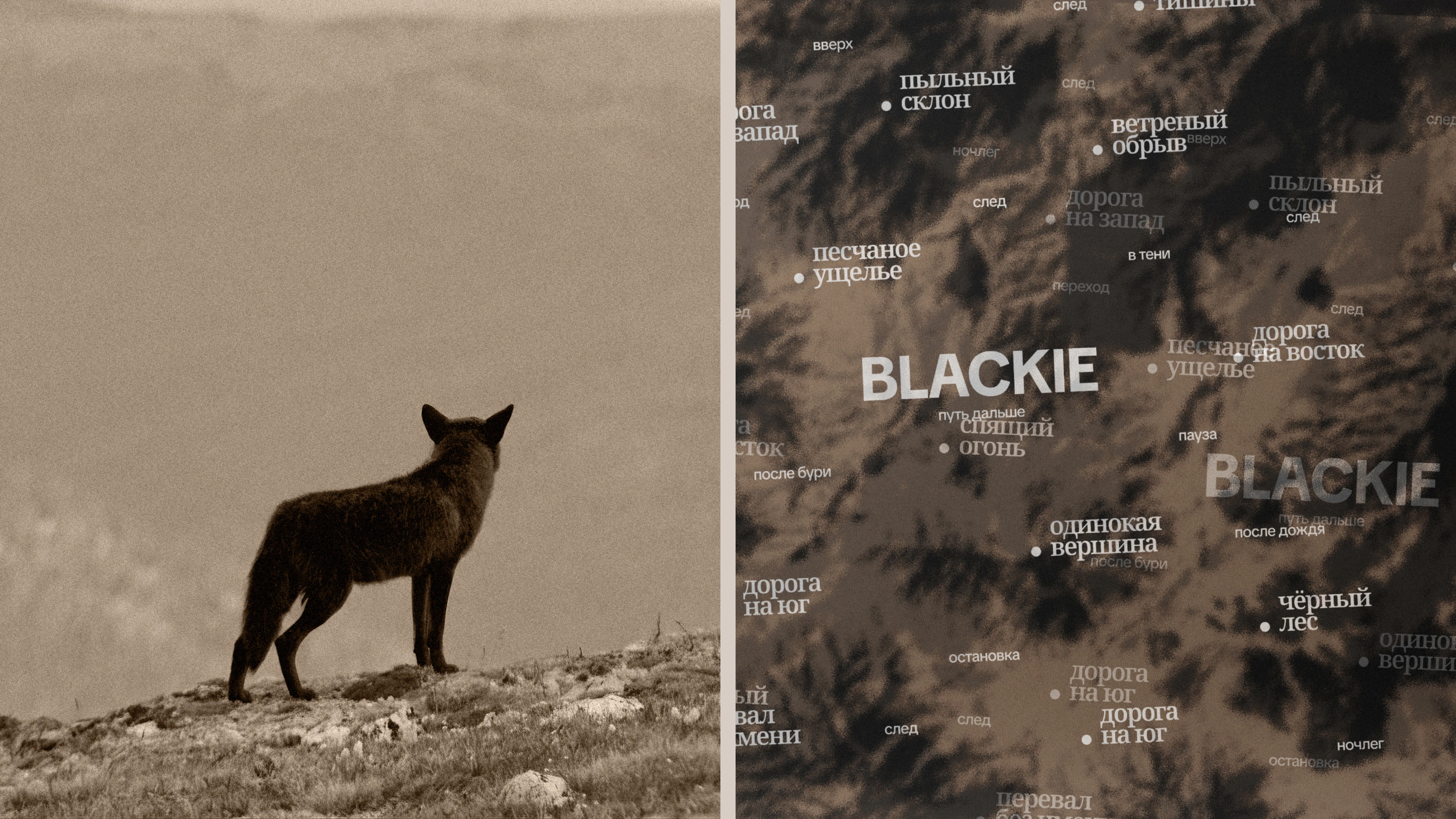 блэки, кофе и путь — Изображение №8 — Брендинг на Dprofile