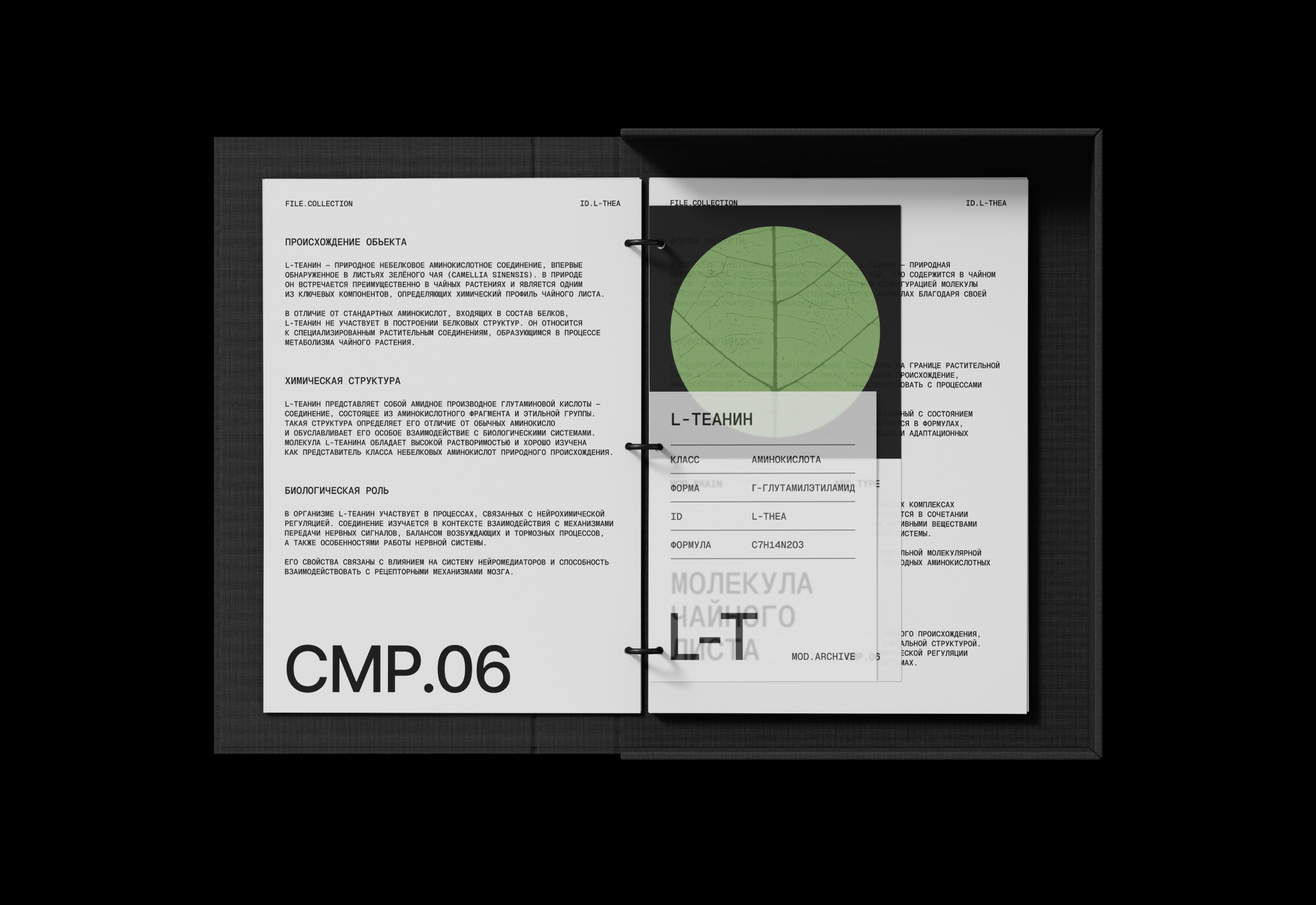 mod.archive — Изображение №31 — Брендинг, Промдизайн на Dprofile