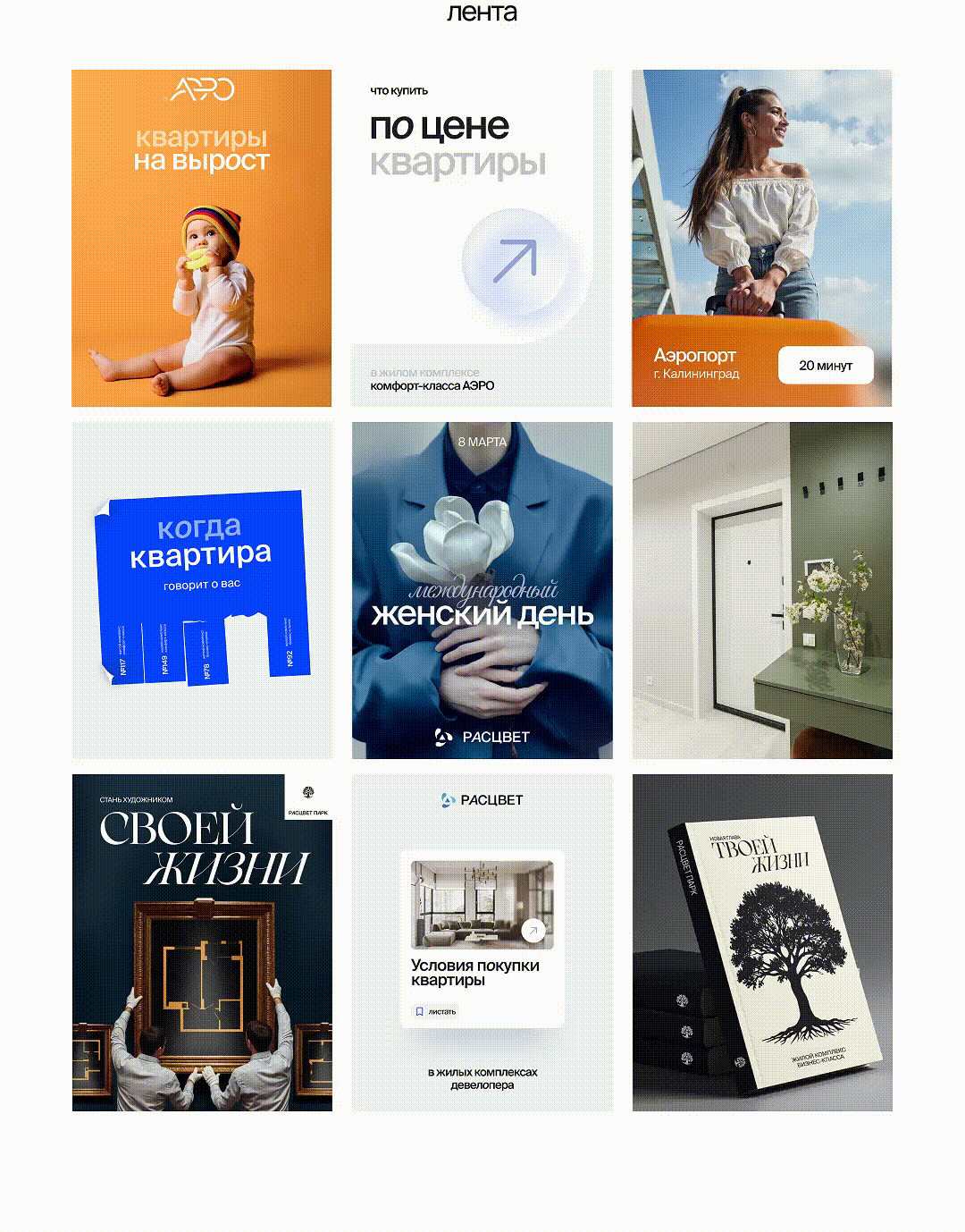 Диджитал-контент для девелопера — Изображение №2 — Брендинг, Графика на Dprofile