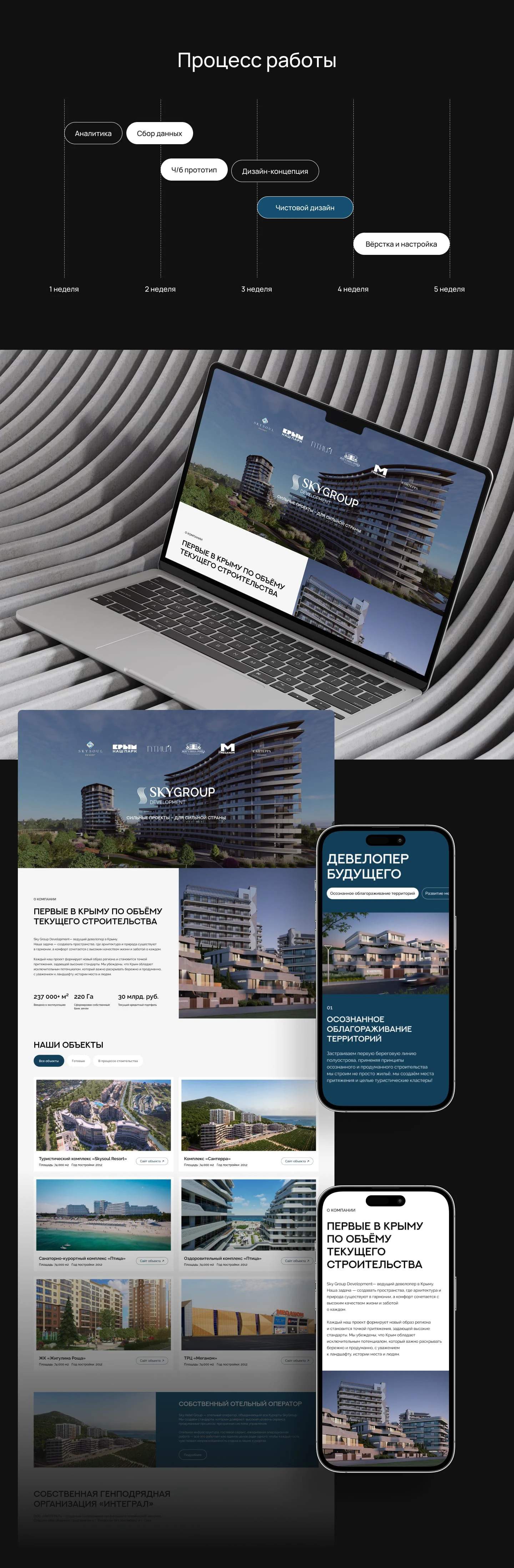 SkyGroup Development — Изображение №4 — Интерфейсы, Брендинг на Dprofile