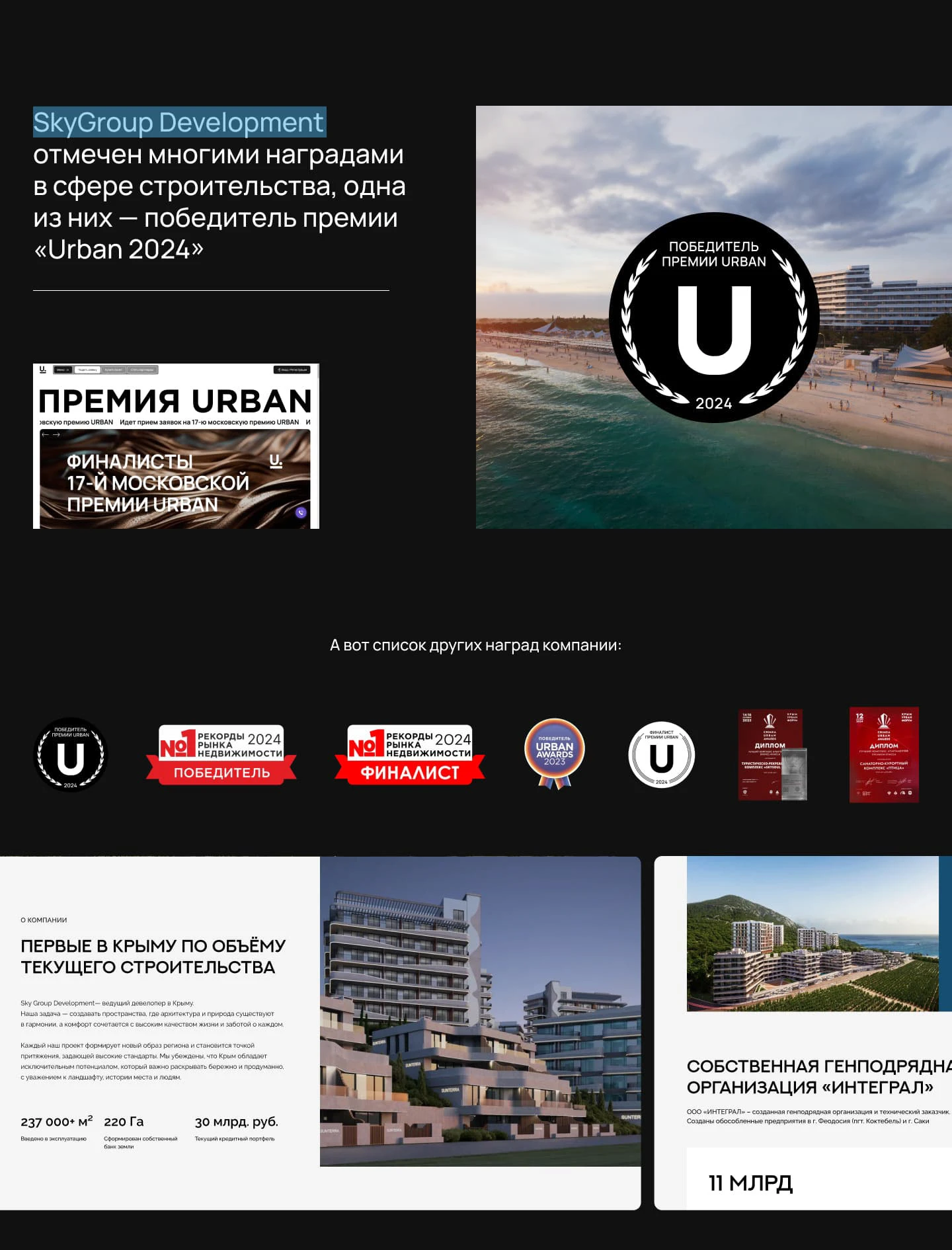 SkyGroup Development — Изображение №7 — Интерфейсы, Брендинг на Dprofile