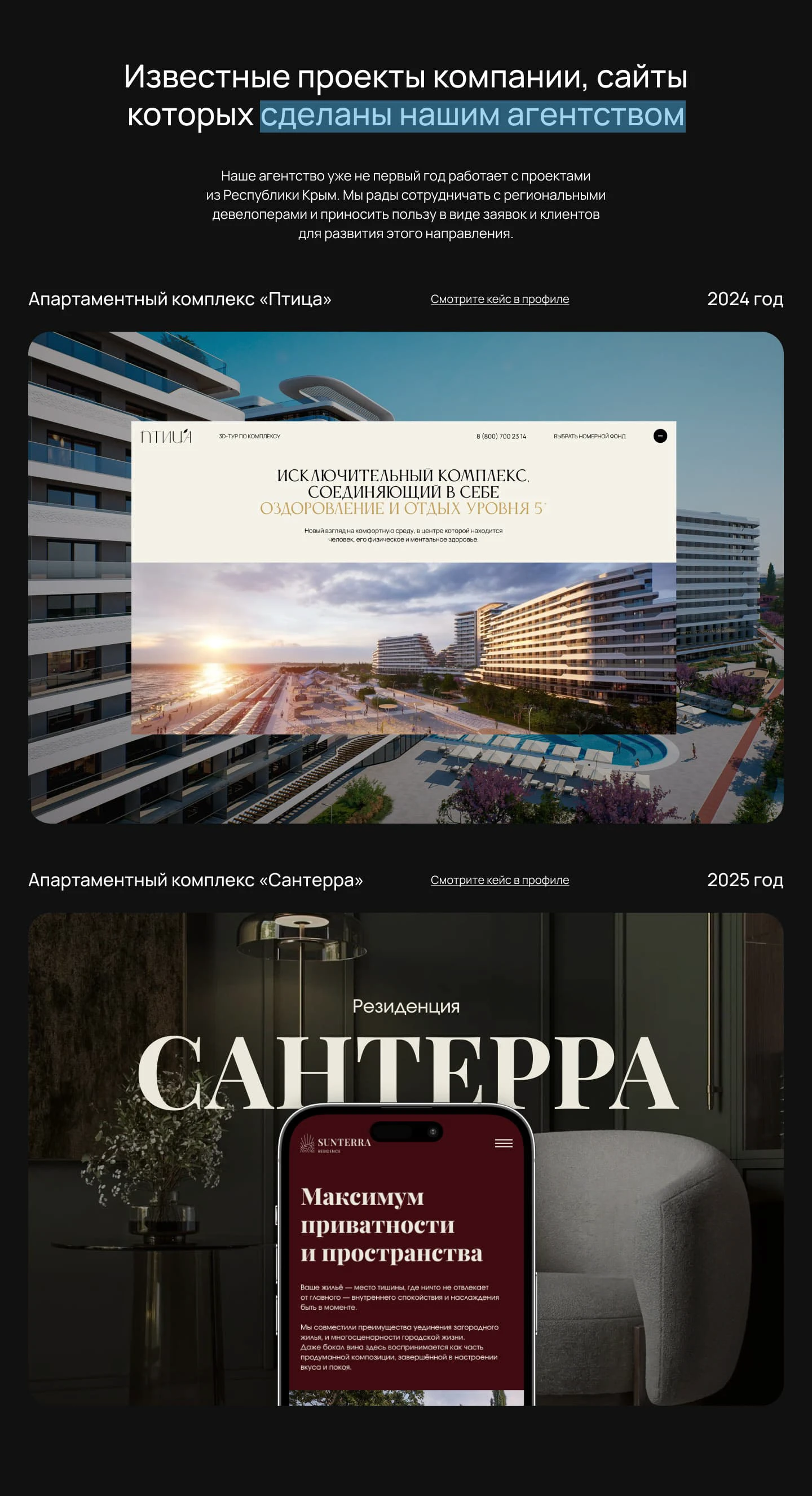 SkyGroup Development — Изображение №8 — Интерфейсы, Брендинг на Dprofile