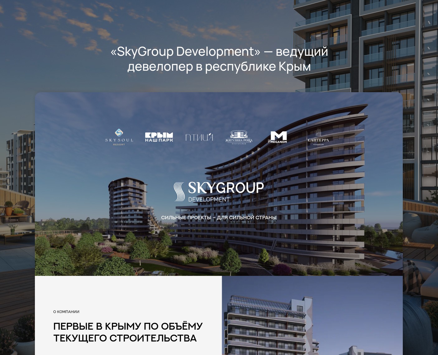 SkyGroup Development на Dprofile