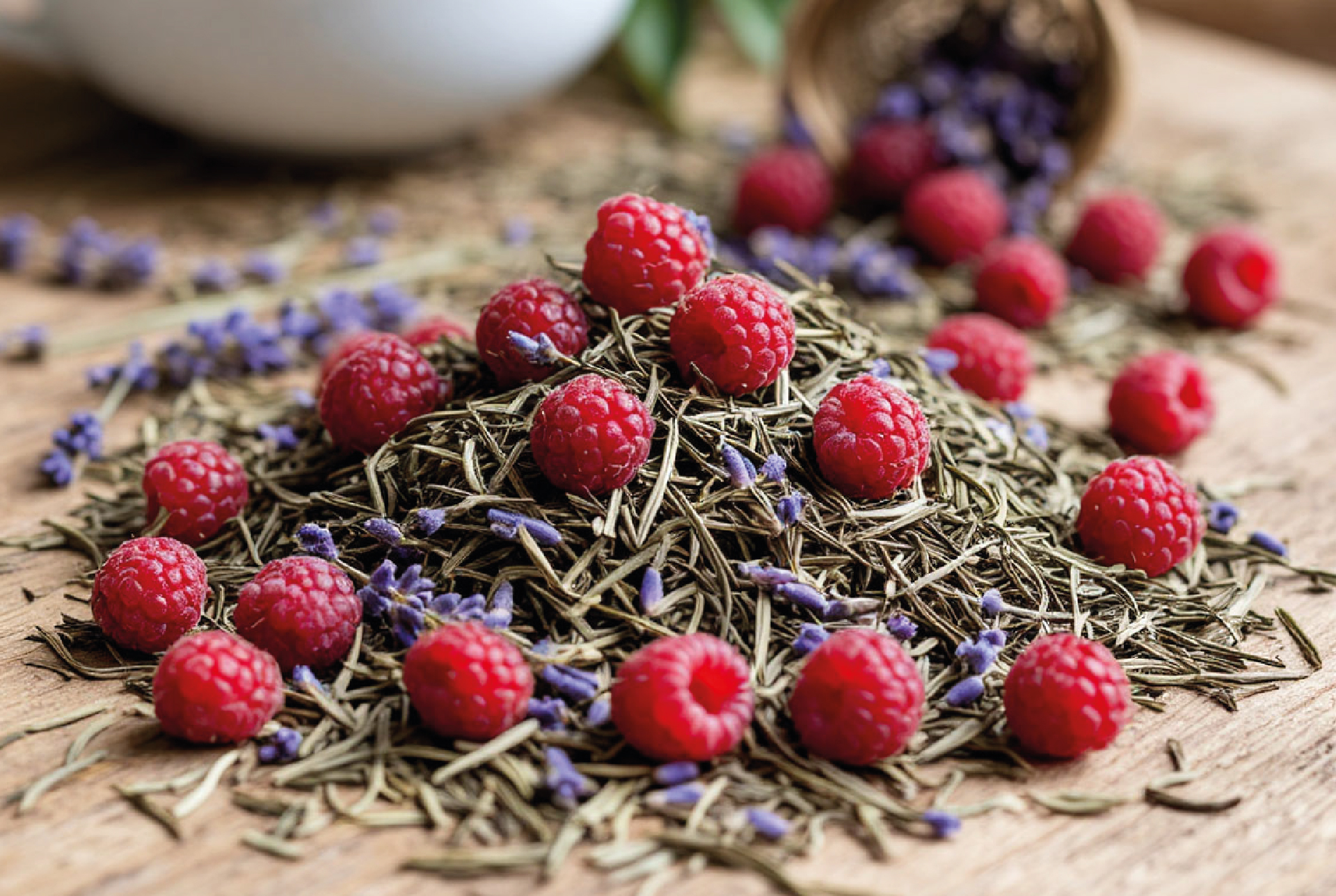 GalaTEA | LOGO & PACKAGING — Изображение №5 — Брендинг на Dprofile