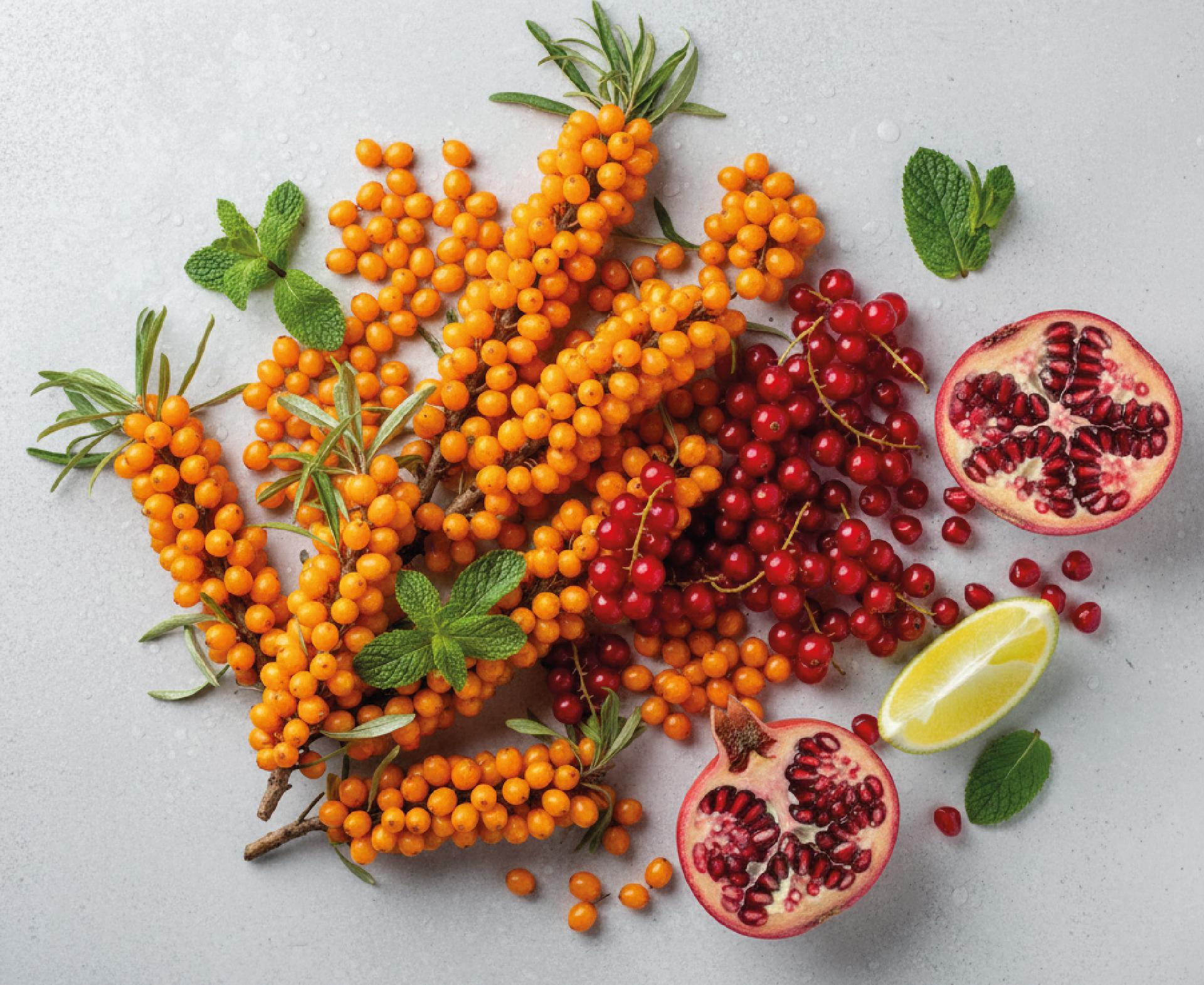 GalaTEA | LOGO & PACKAGING — Изображение №12 — Брендинг на Dprofile