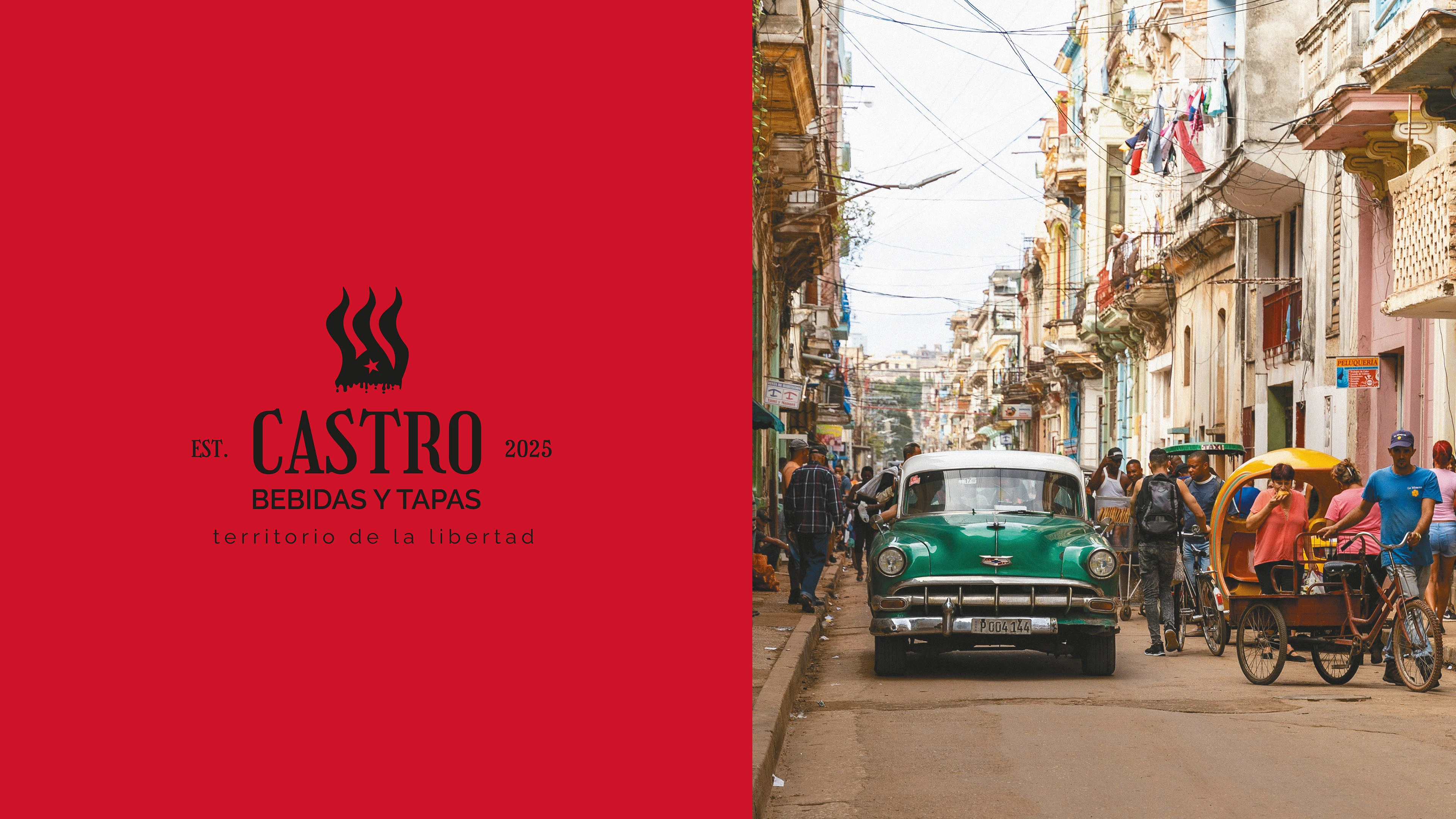 LOGO & IDENTITY | Castro — Изображение №1 — Брендинг на Dprofile