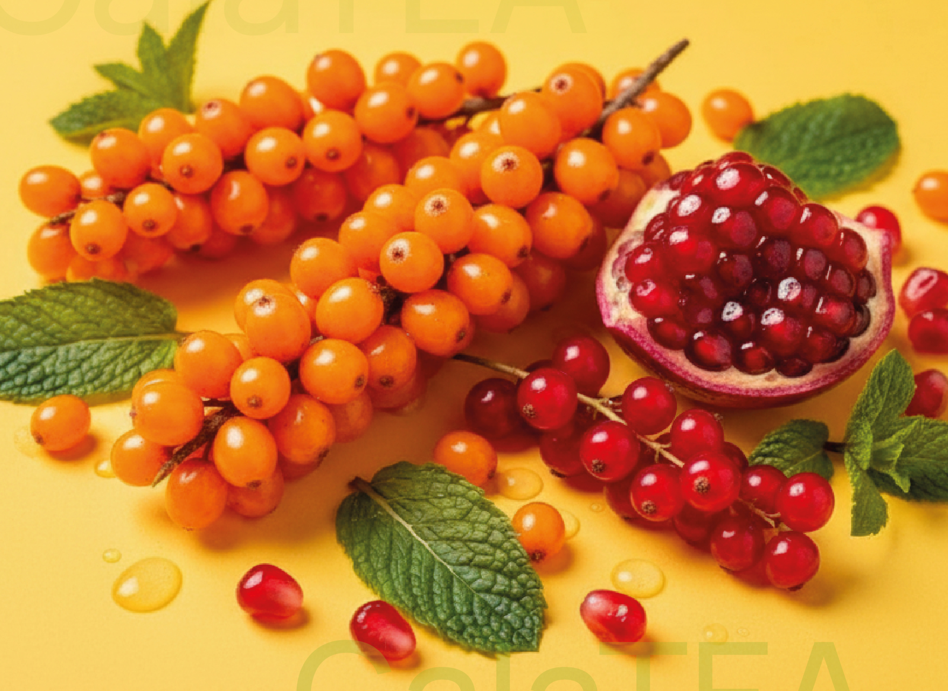 GalaTEA | LOGO & PACKAGING — Изображение №3 — Брендинг на Dprofile