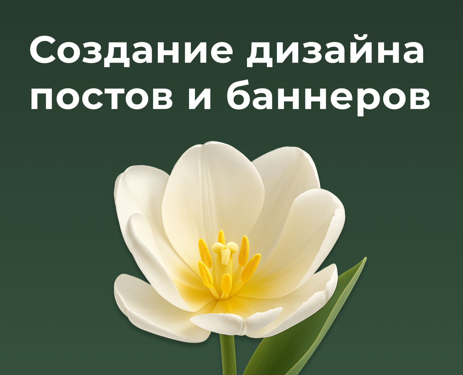 Дизайн поста, сторис и баннера для флористов на Dprofile