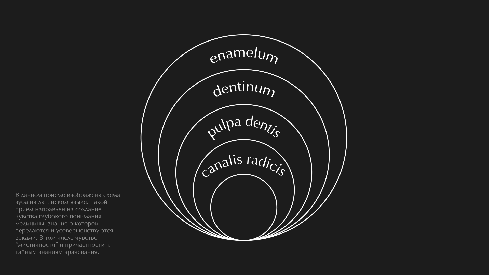 Центр Профессиональной Стоматологии - фирменный стиль — Изображение №6 — Брендинг на Dprofile