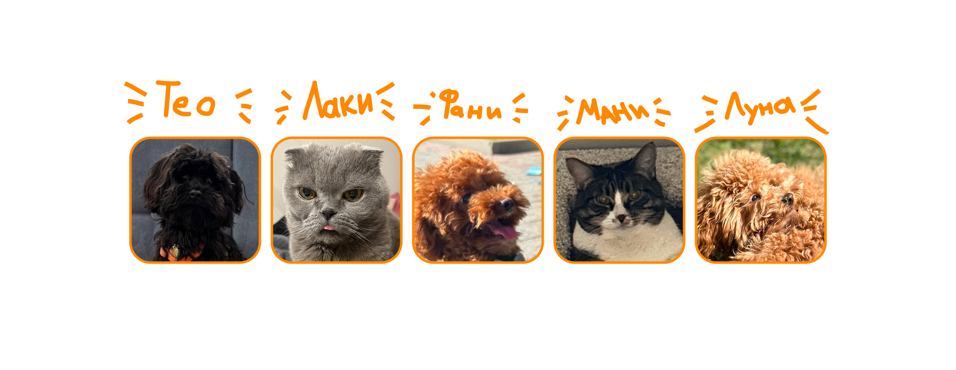 BORK фонтанчик для питомцев — Изображение №2 — Интерфейсы, Промдизайн на Dprofile