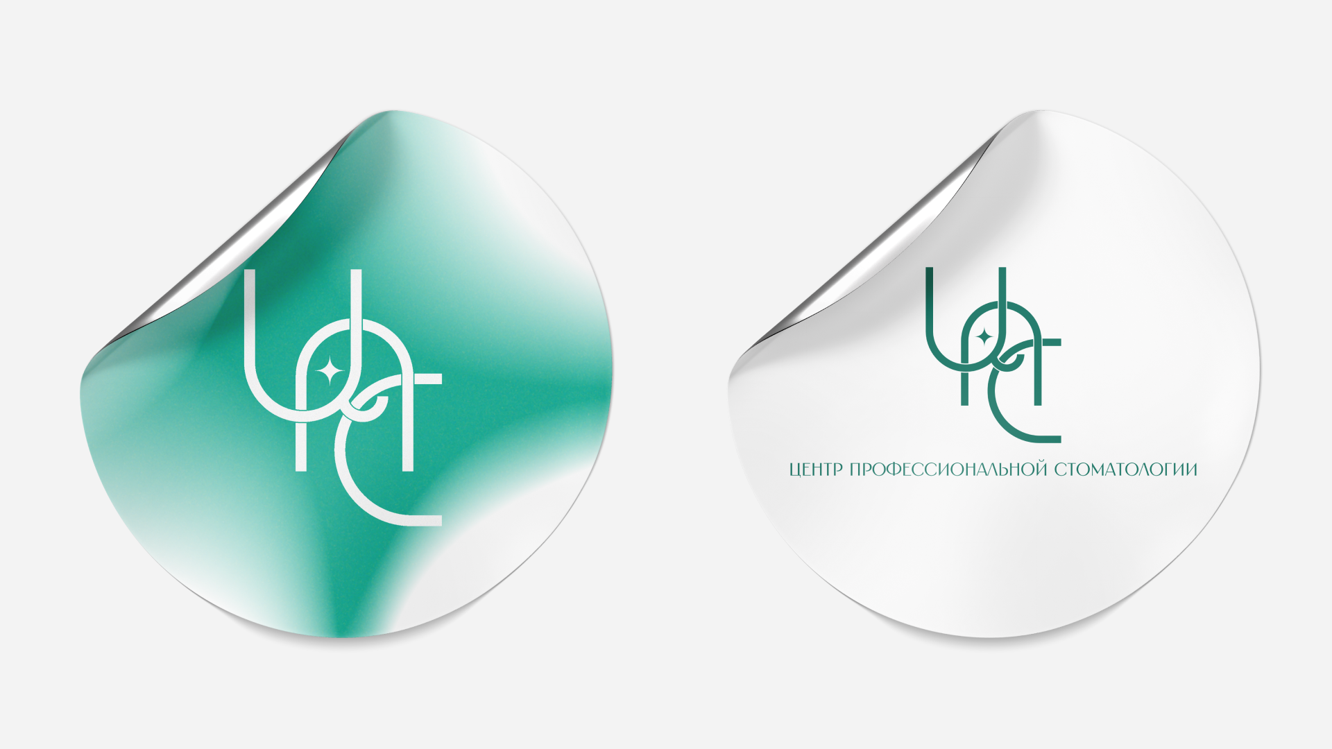 Центр Профессиональной Стоматологии - фирменный стиль — Изображение №14 — Брендинг на Dprofile