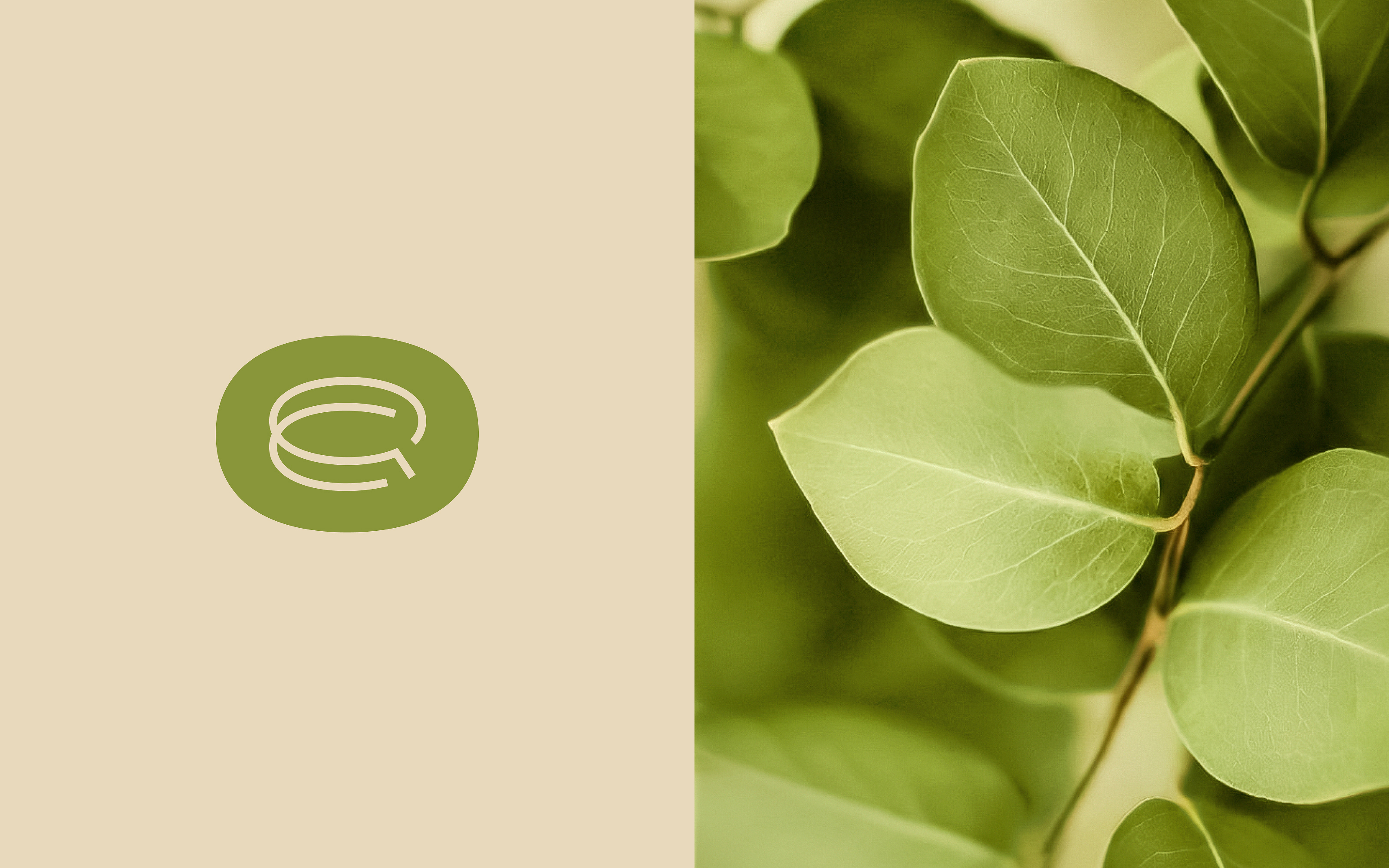 Wau — Изображение №6 — Брендинг, Графика на Dprofile