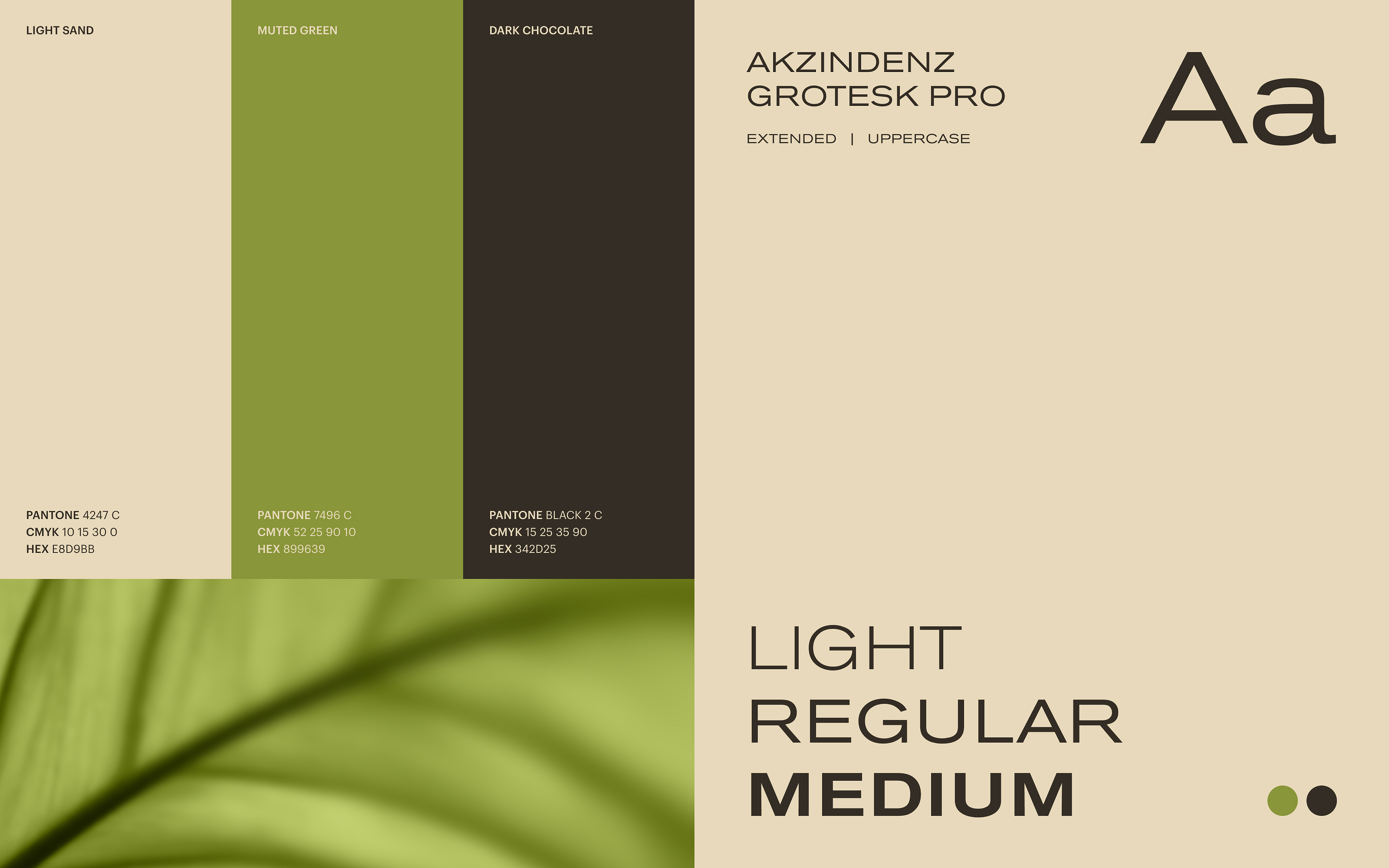 Wau — Изображение №2 — Брендинг, Графика на Dprofile