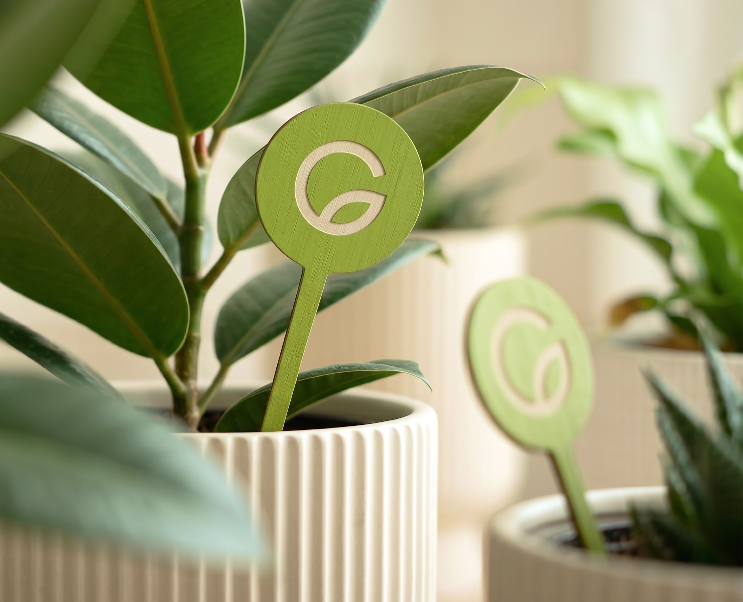 GreenLine на Dprofile