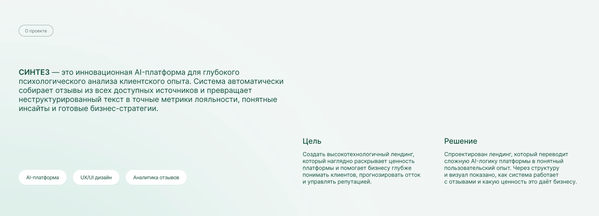 SaaS лендинг / AI-платформа для анализа клиентских инсайтов — Изображение №2 — Интерфейсы на Dprofile