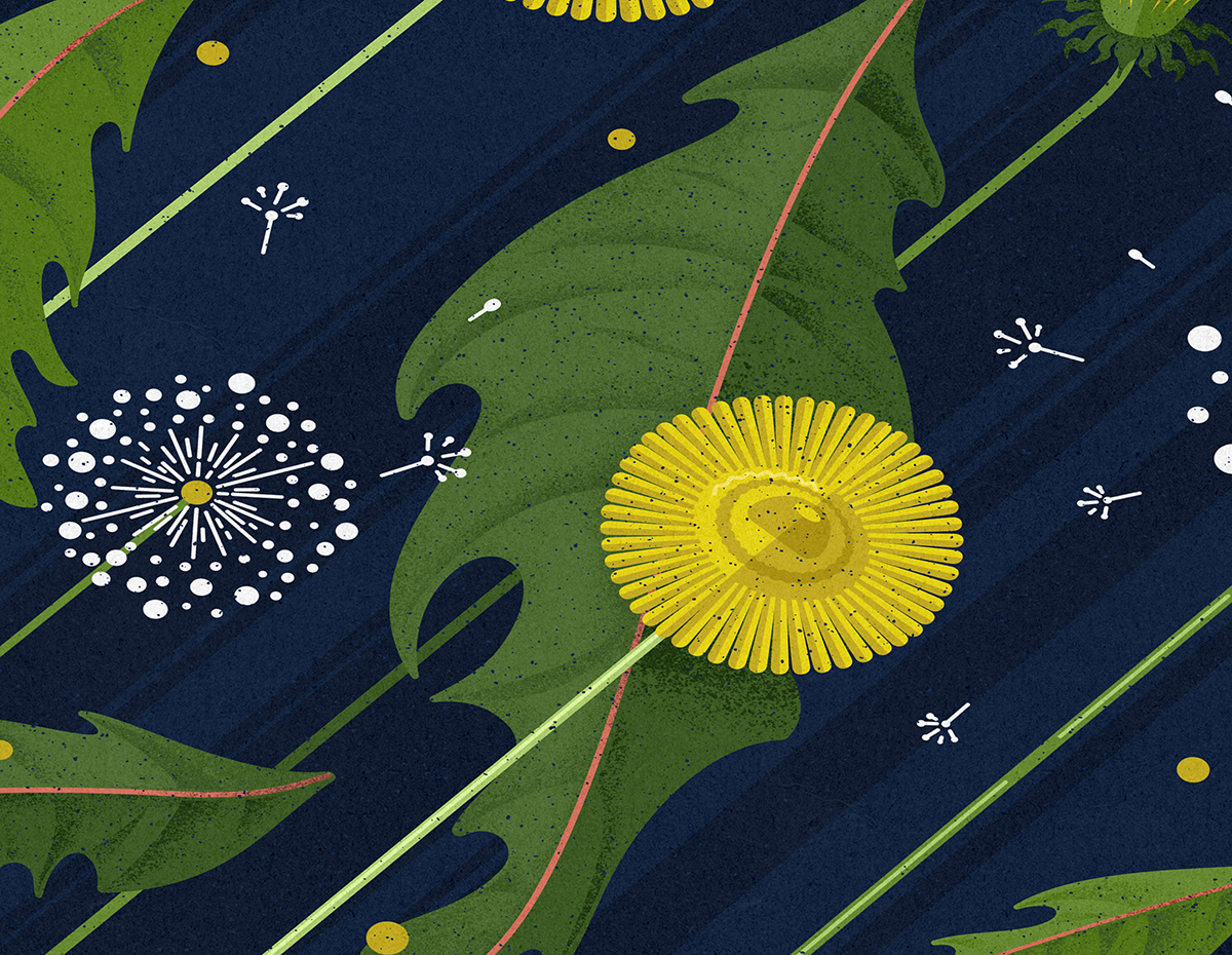 Иллюстрации | Календарь 2021 — Изображение №24 — Иллюстрация, Графика на Dprofile
