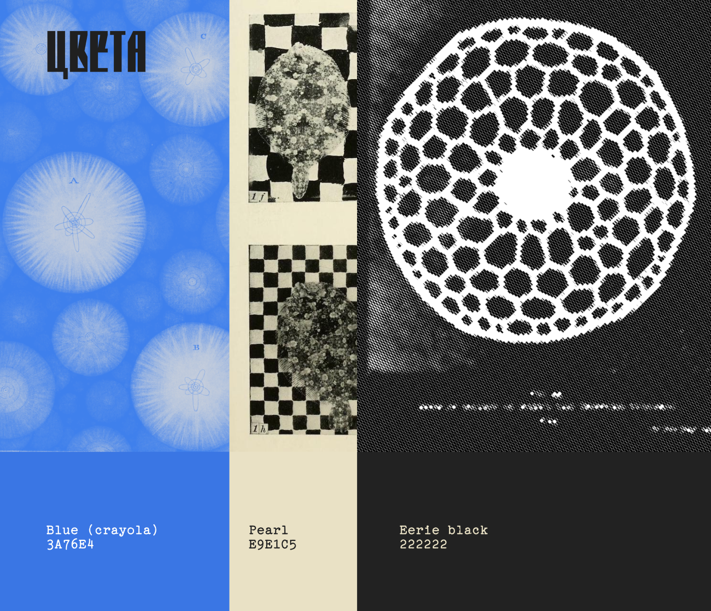 Сила слова — Изображение №3 — Брендинг на Dprofile