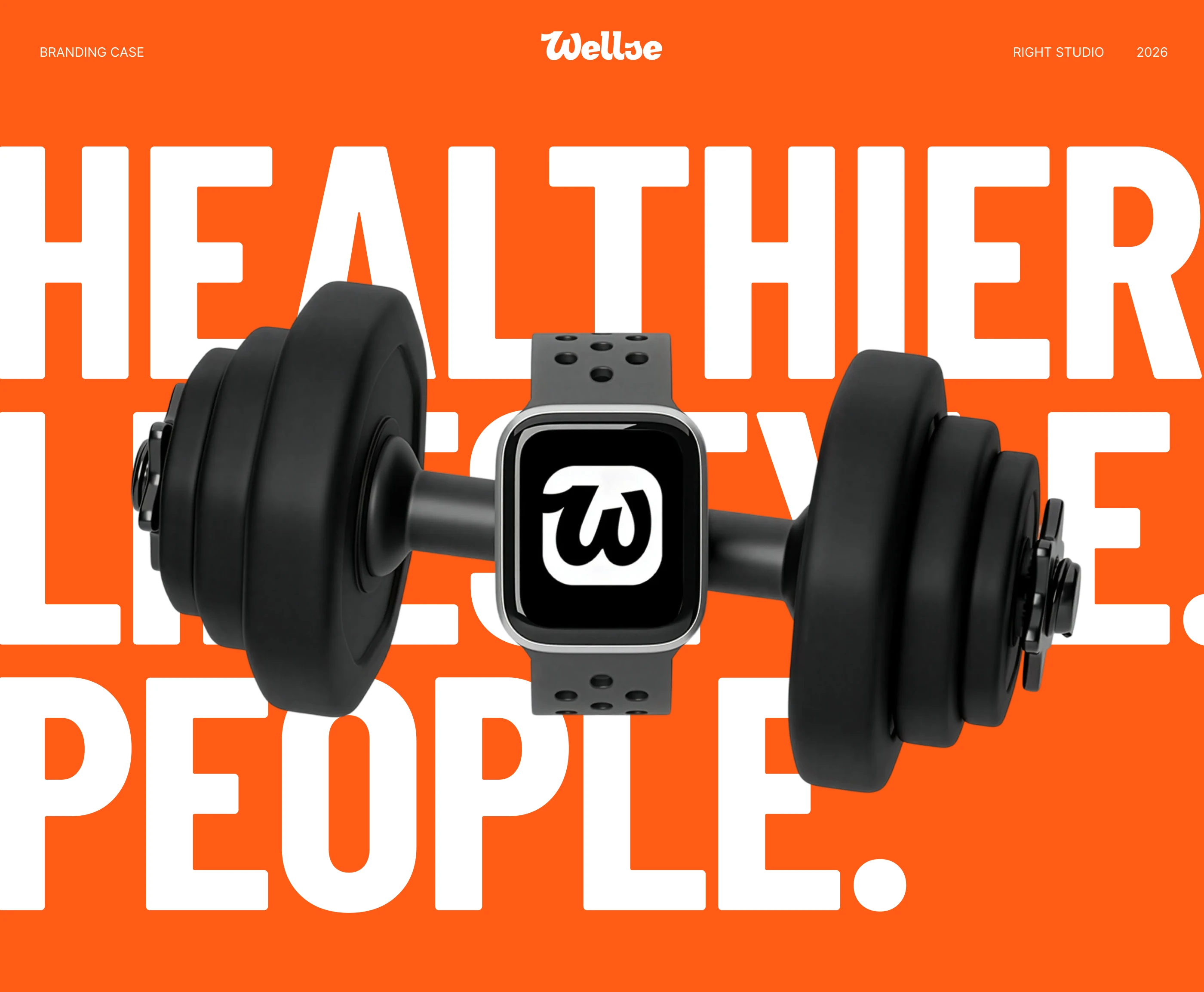 Брендинг для wellness-стартапа Wellse — Изображение №1 — Брендинг на Dprofile