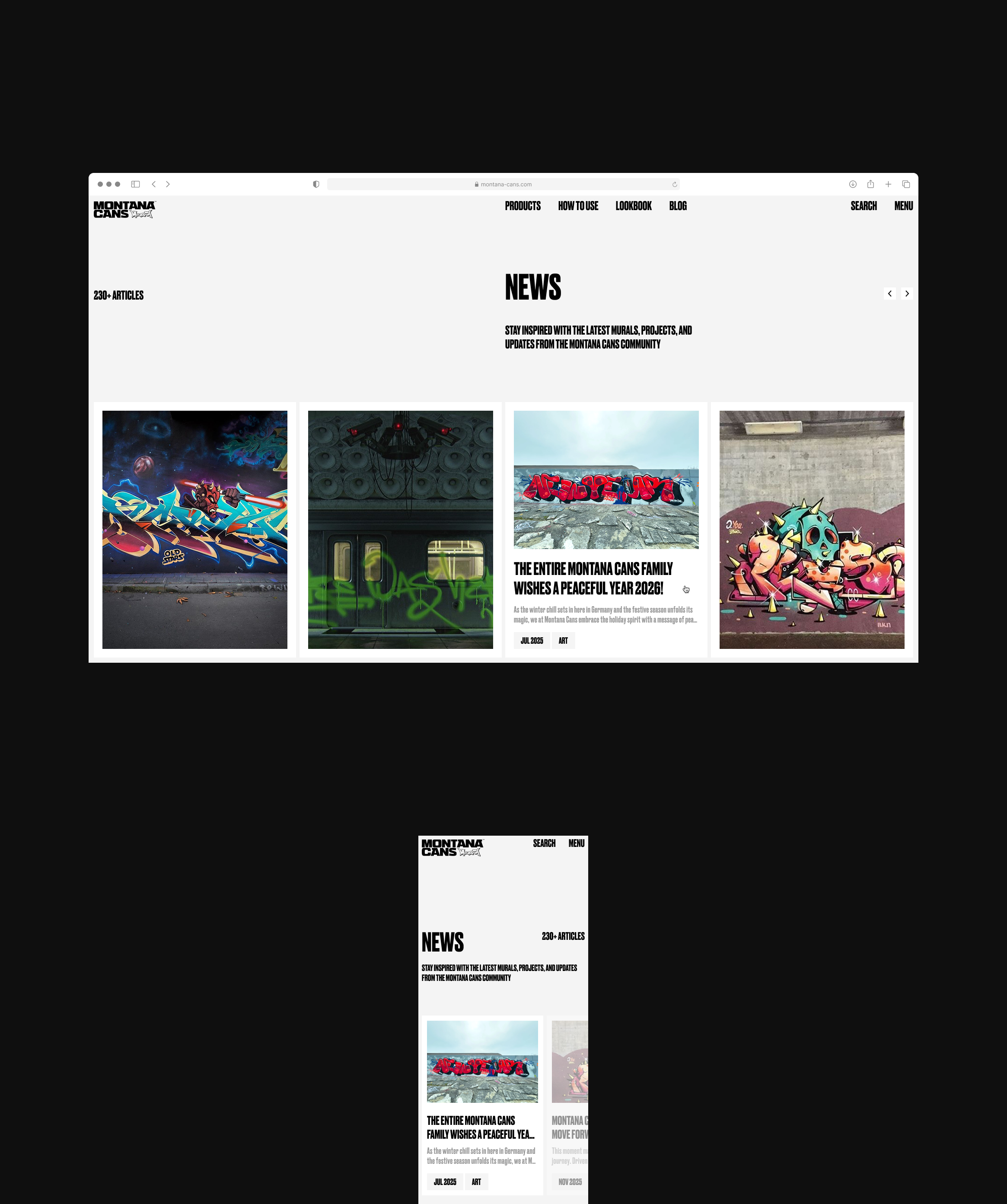 Montana Cans / Web — Изображение №14 — Интерфейсы на Dprofile