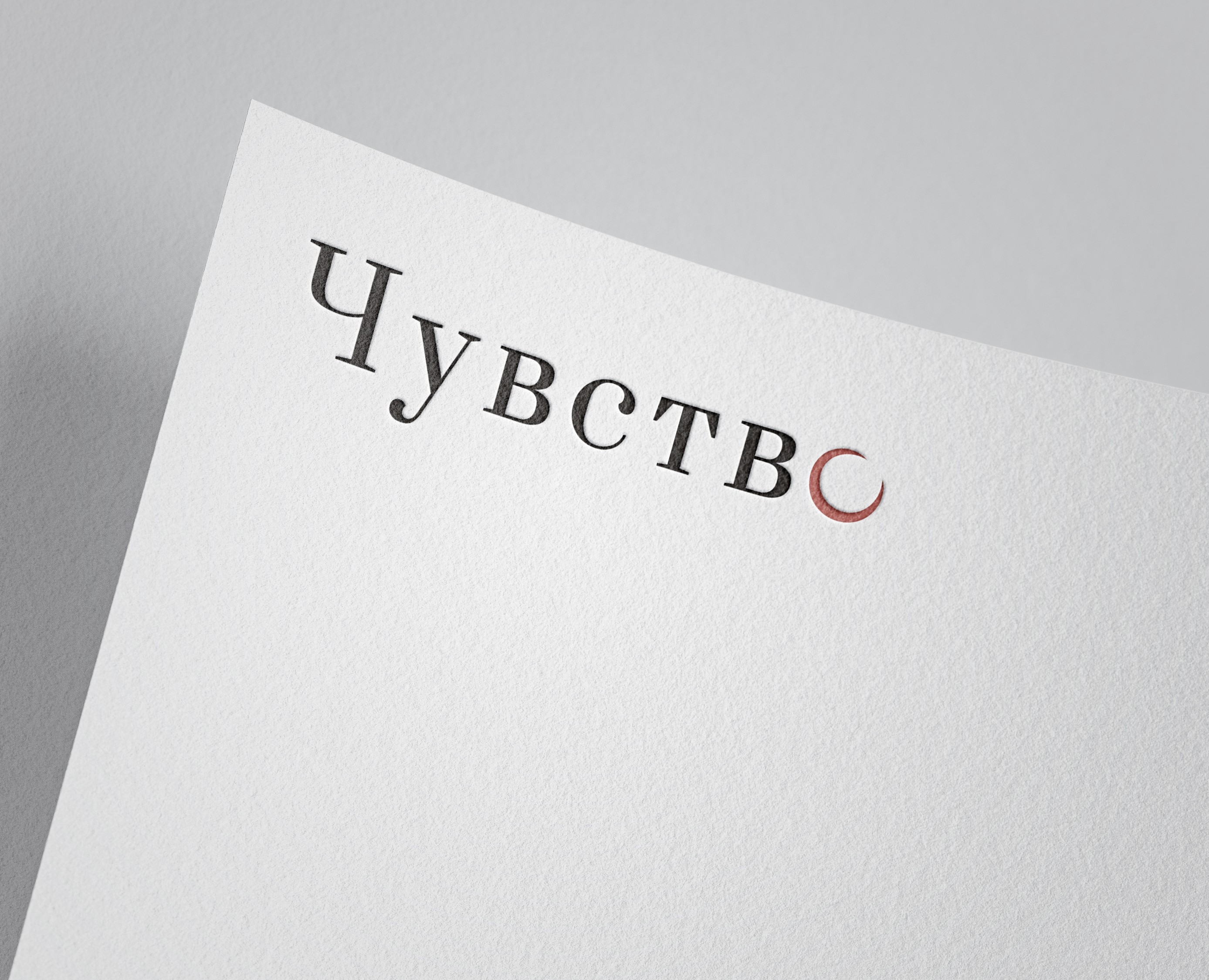 Чувство | Айдентика студии растяжки на Dprofile