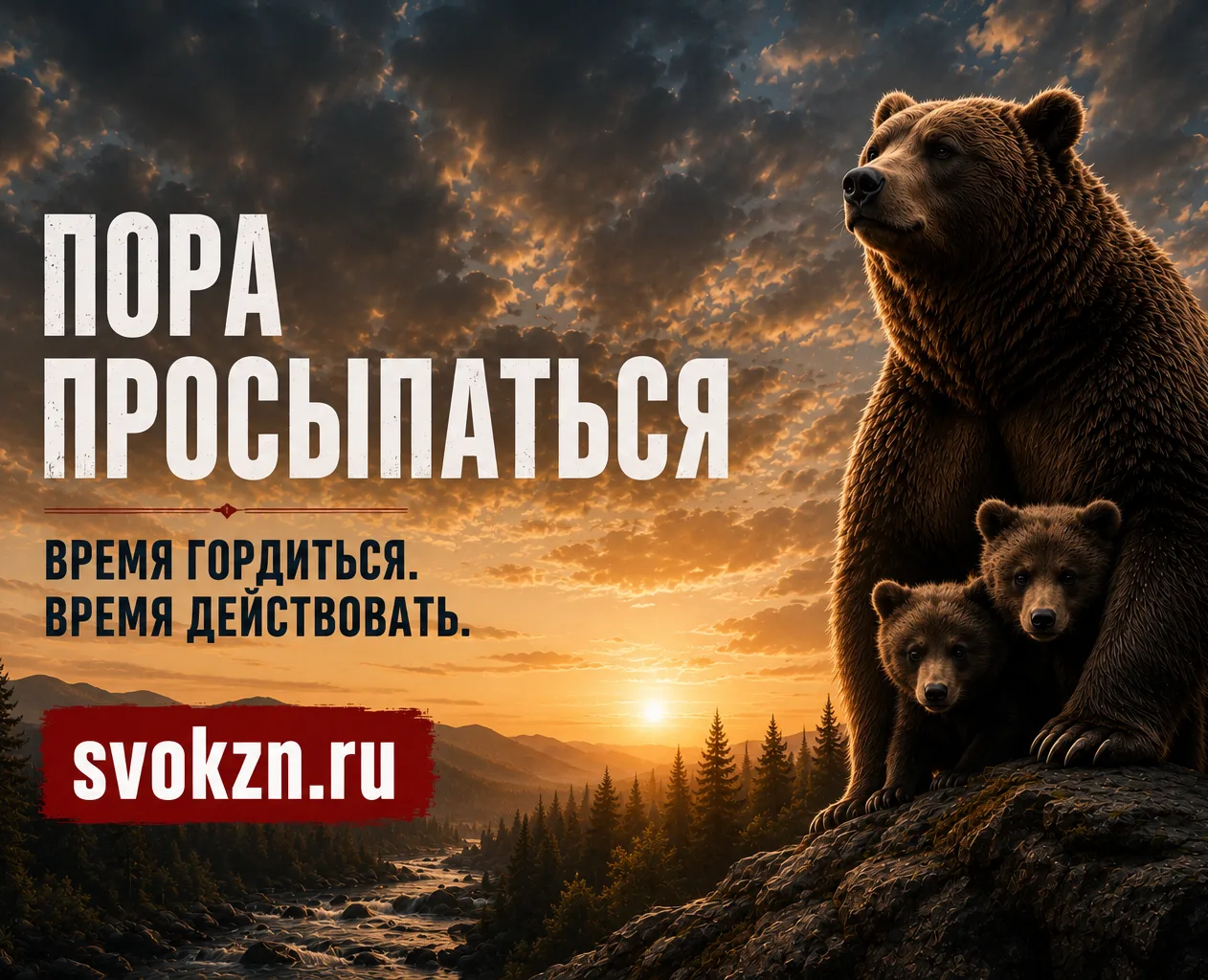 Баннеры на Dprofile