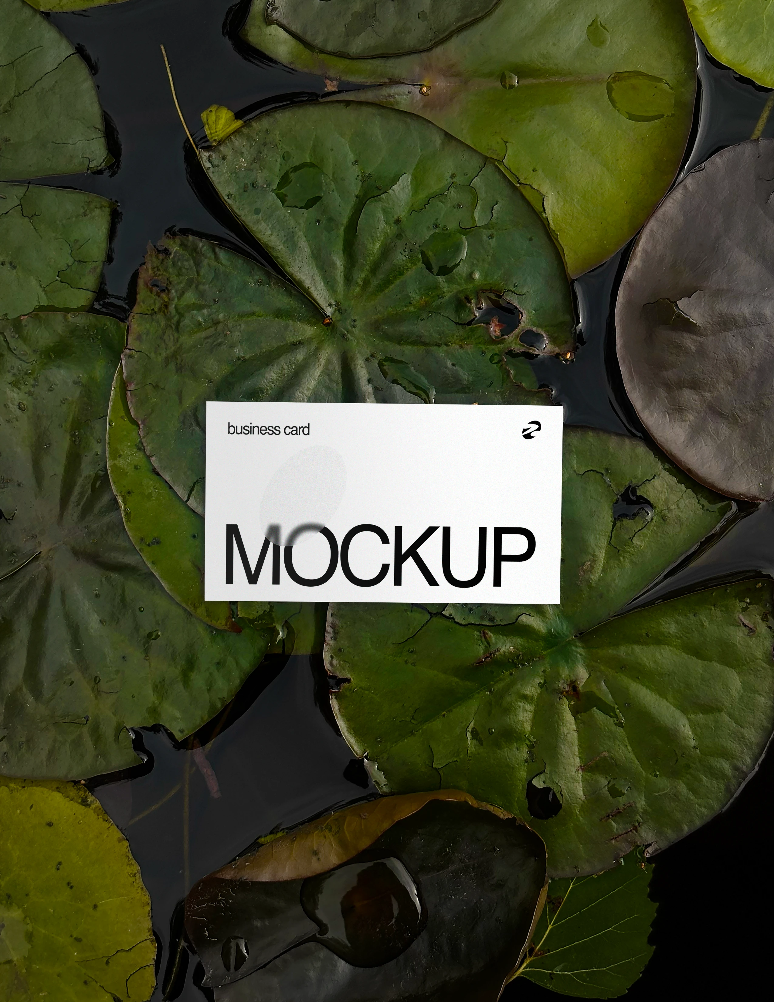 Nature Business Card Mockups | Free Resource by SYN — Изображение №3 — Графика, Архитектура на Dprofile