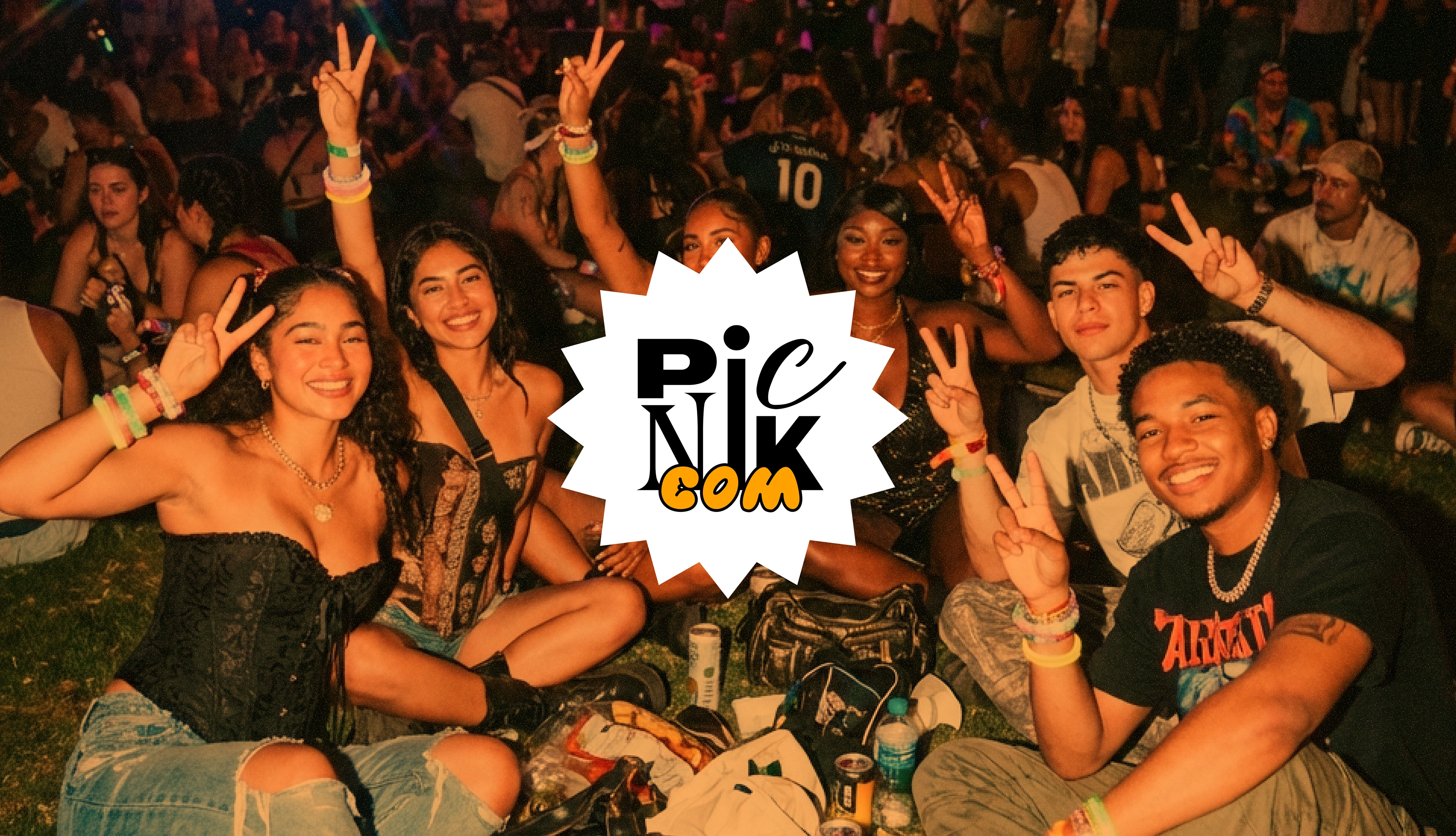 Picnik.com - brand identity, merch — Изображение №3 — Брендинг на Dprofile