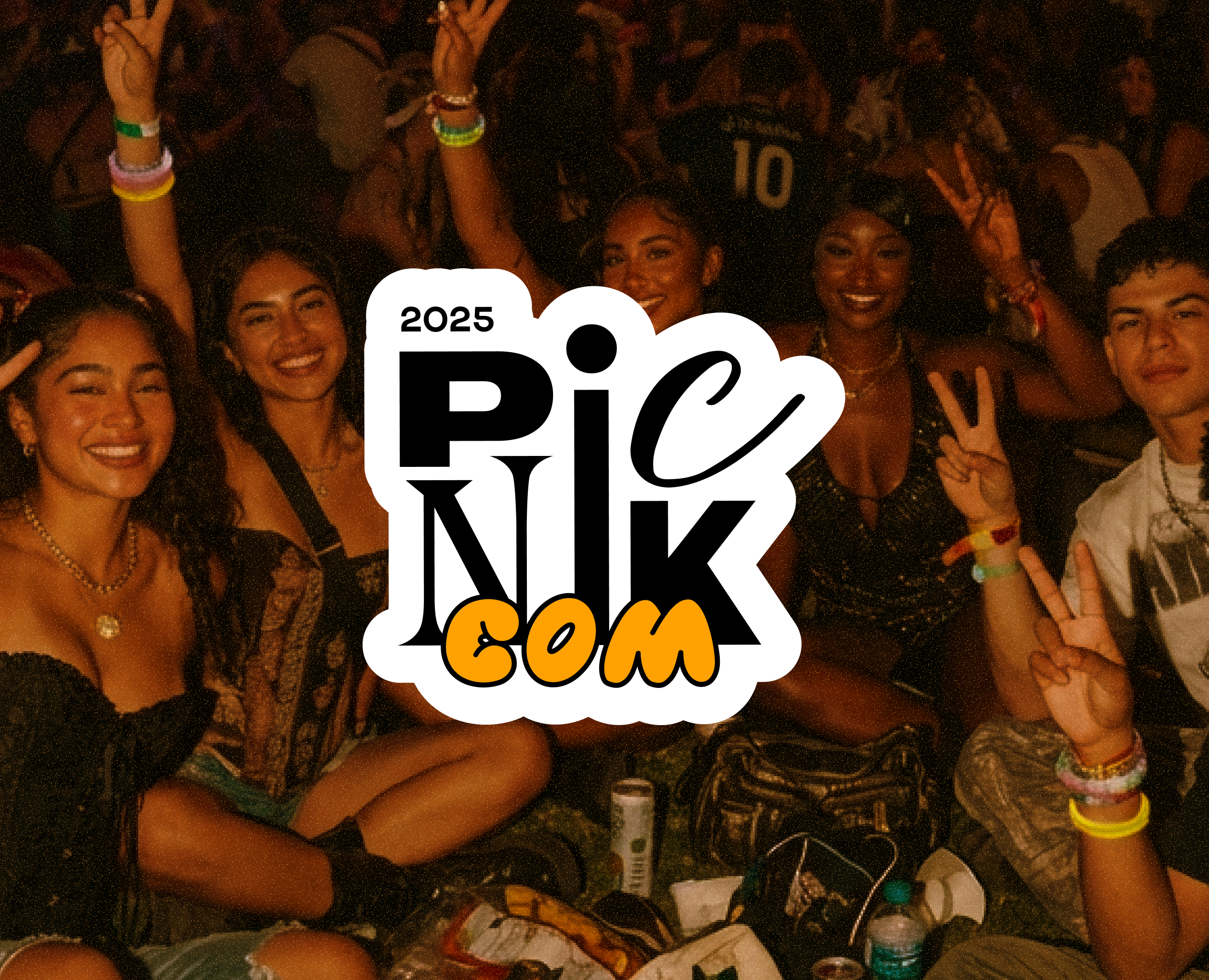 Picnik.com - brand identity, merch — Брендинг на Dprofile