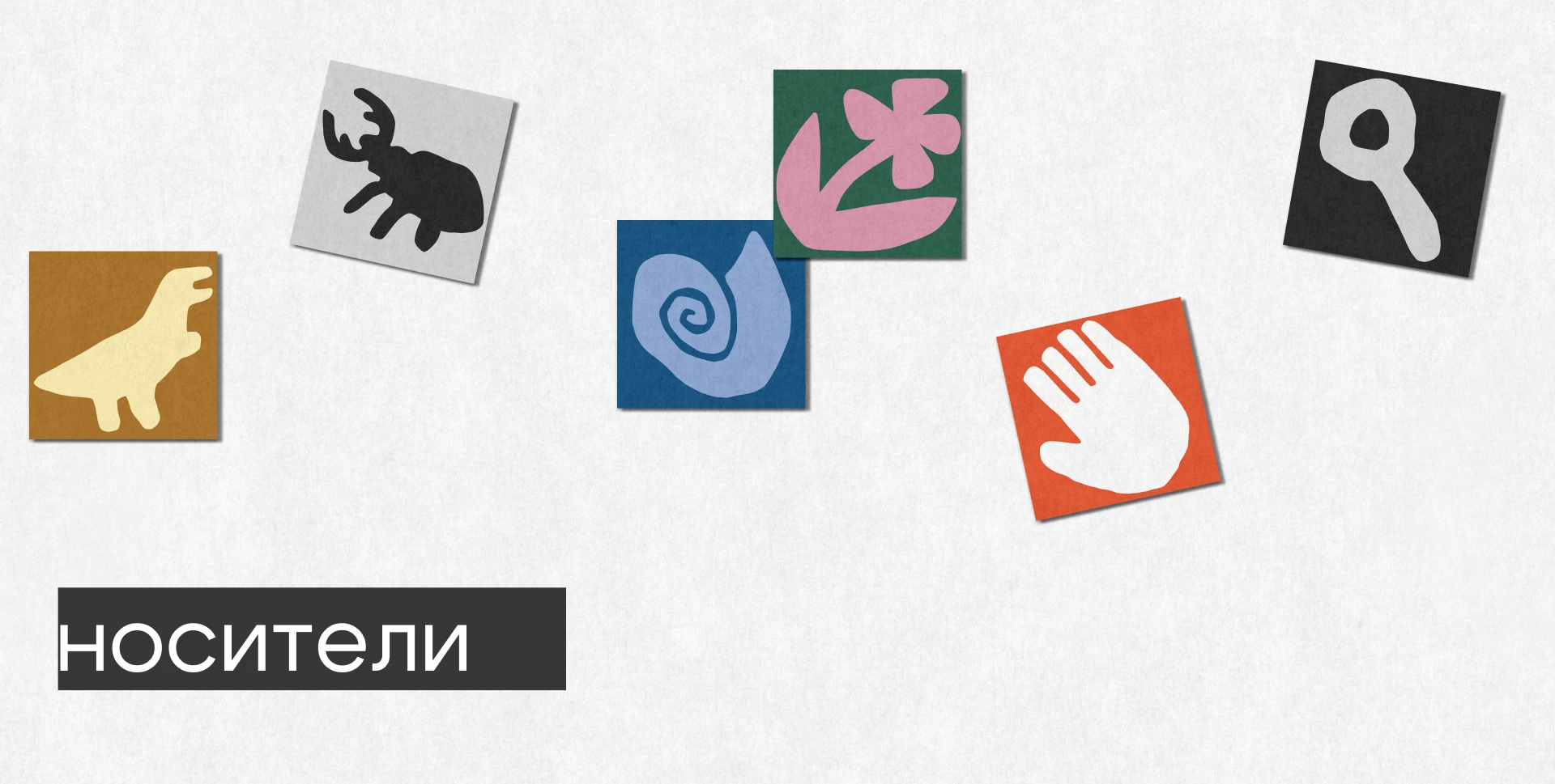 Мерч.  Биологический музей им. К.А.Тимирязева — Изображение №4 — Брендинг на Dprofile