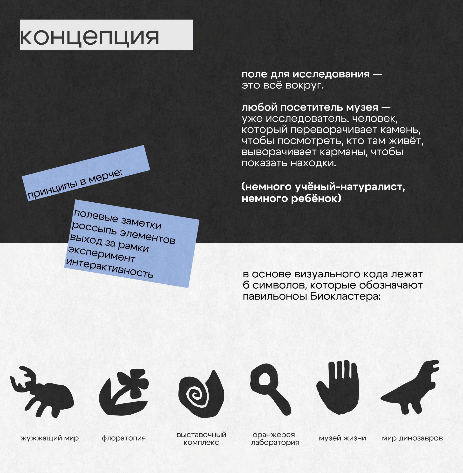 Мерч.  Биологический музей им. К.А.Тимирязева — Изображение №3 — Брендинг на Dprofile