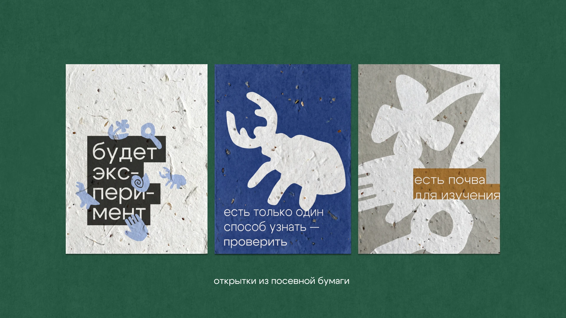 Мерч.  Биологический музей им. К.А.Тимирязева — Изображение №8 — Брендинг на Dprofile