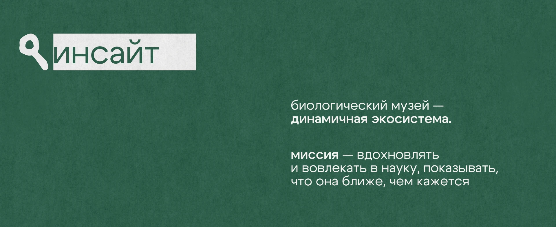 Мерч.  Биологический музей им. К.А.Тимирязева — Изображение №2 — Брендинг на Dprofile