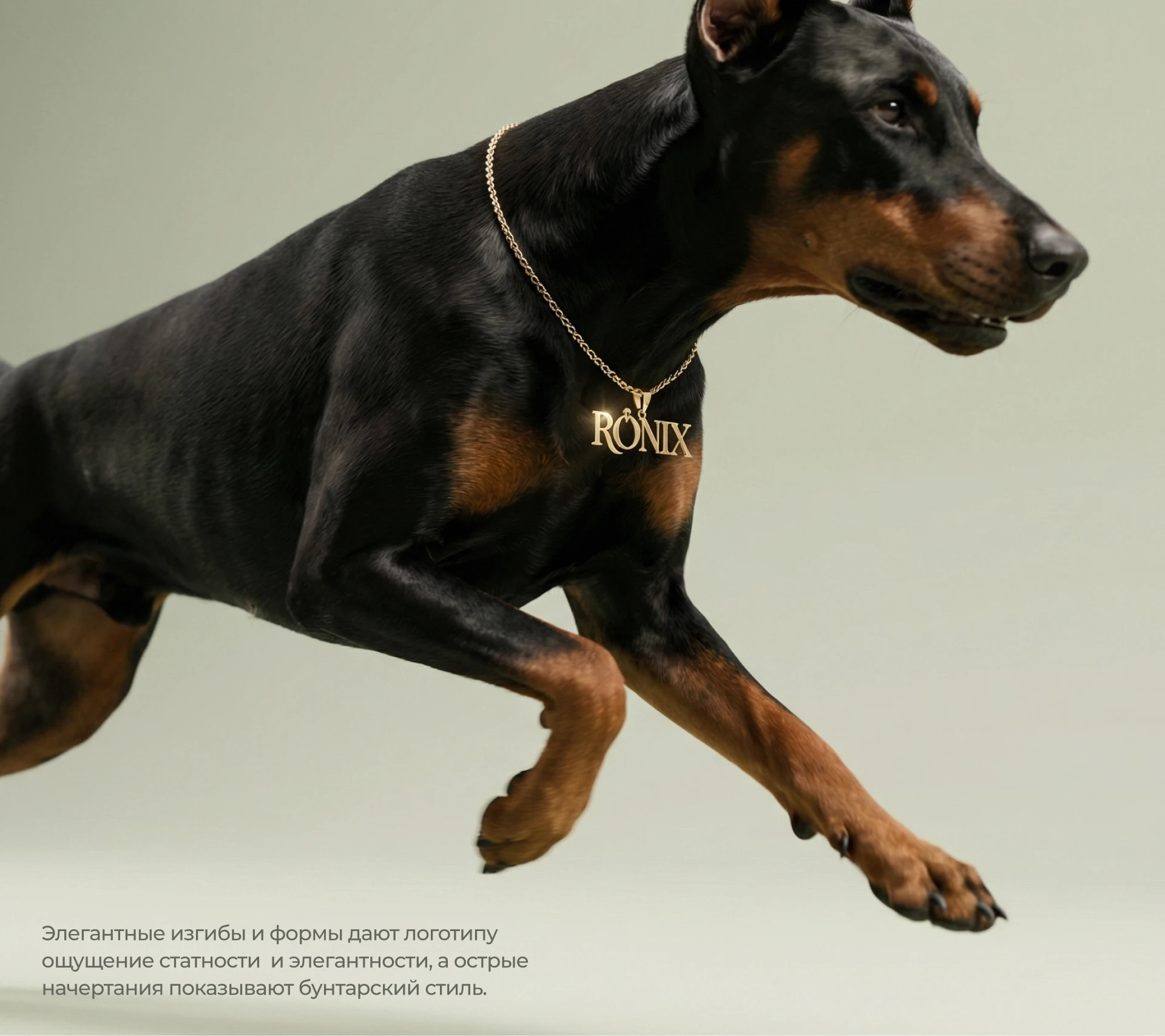 Ronix — Fashion Jewelry Branding — Изображение №2 — Брендинг на Dprofile