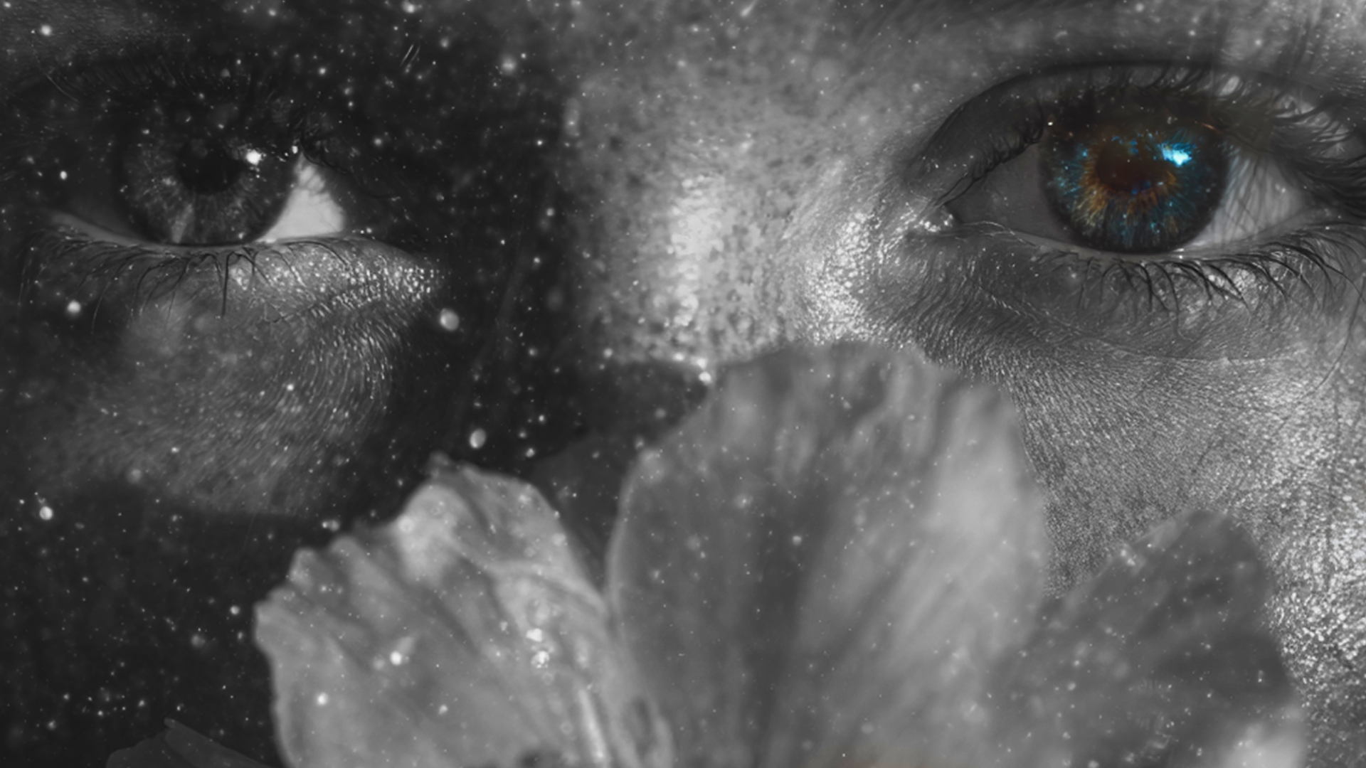 Институт APTE — Изображение №4 — Брендинг на Dprofile