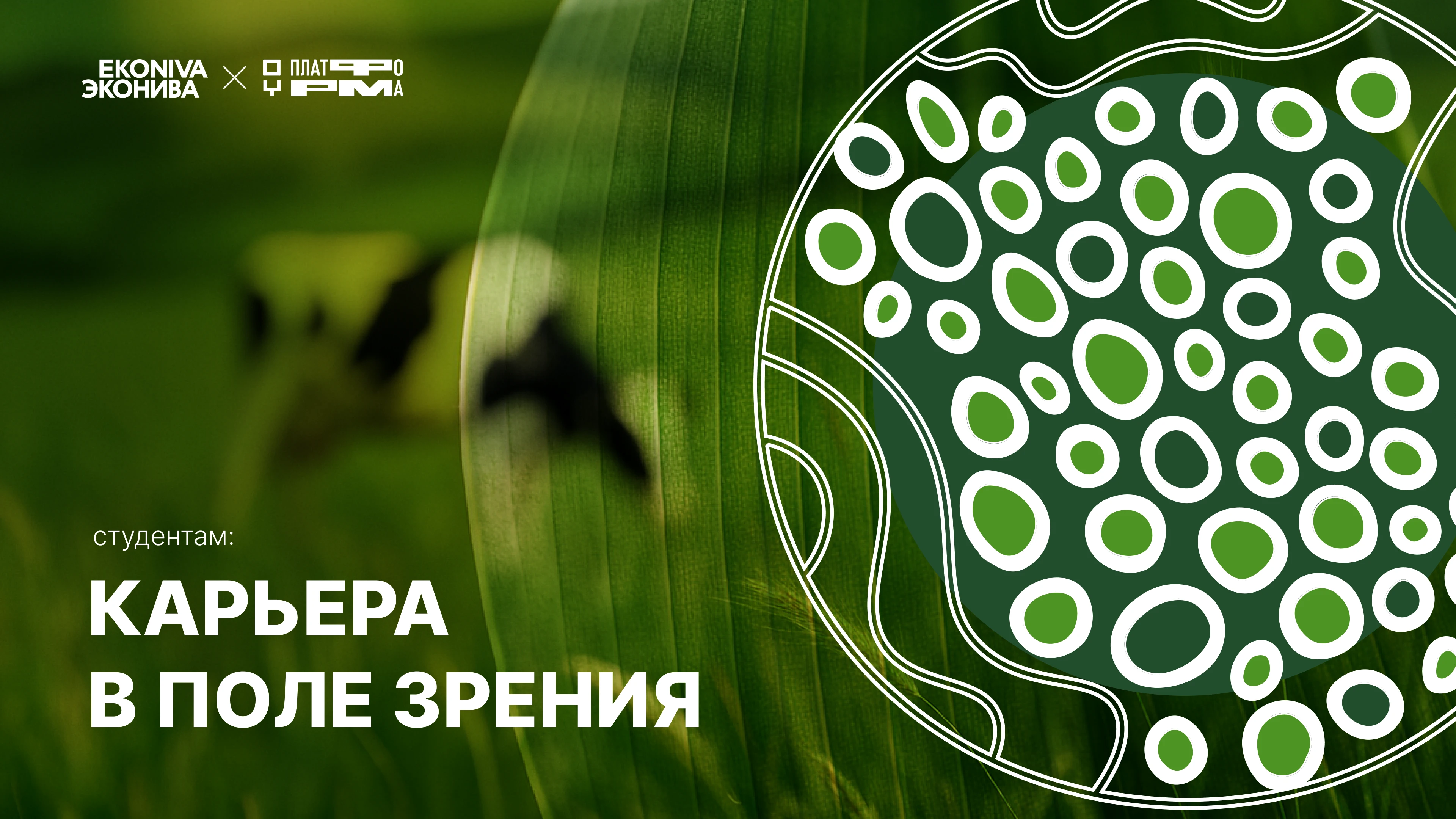 Мерч для ЭкоНива-АПК Холдинг — Изображение №2 — Брендинг на Dprofile